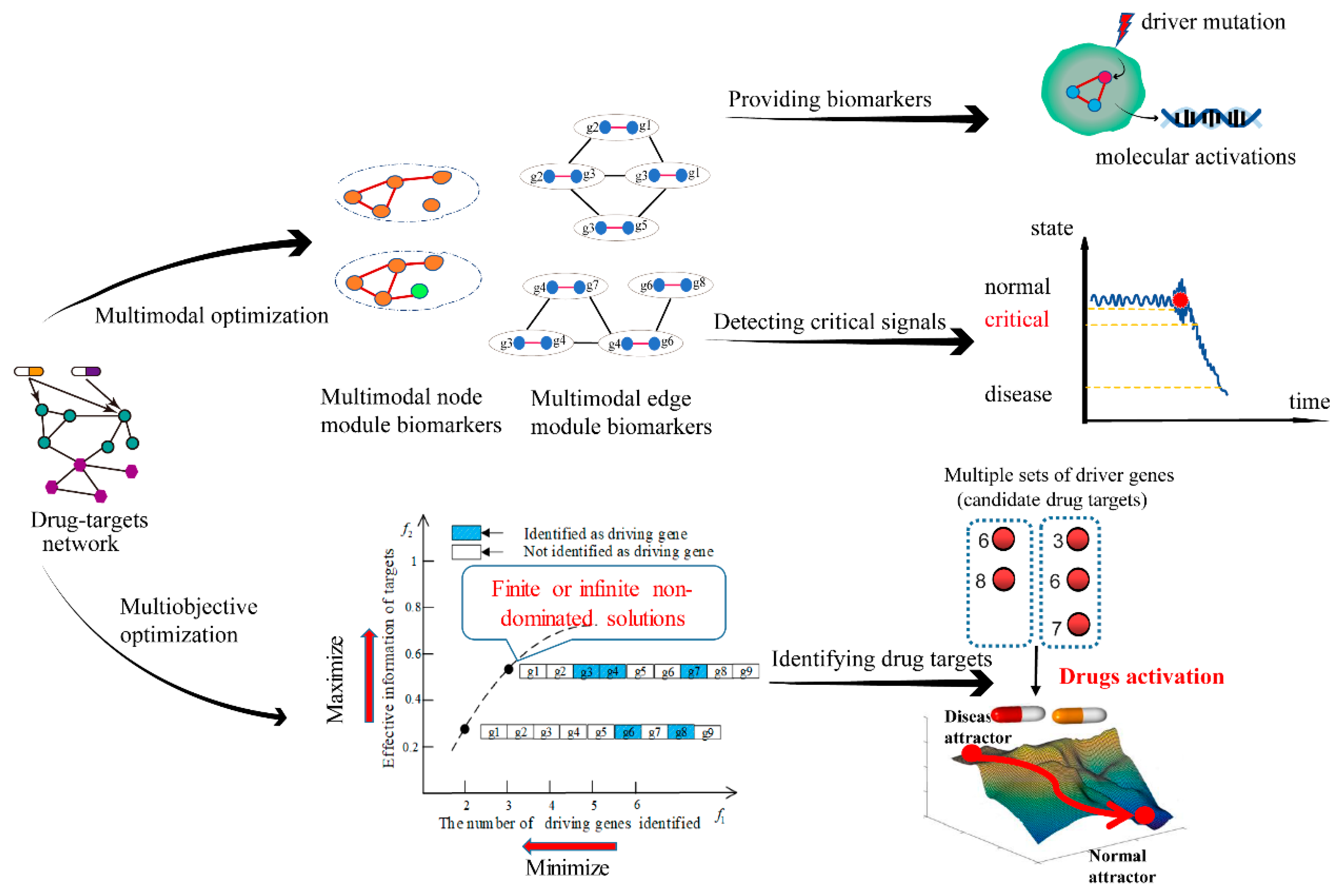Genes 16 00244 g002 Genes 16 00244 g002