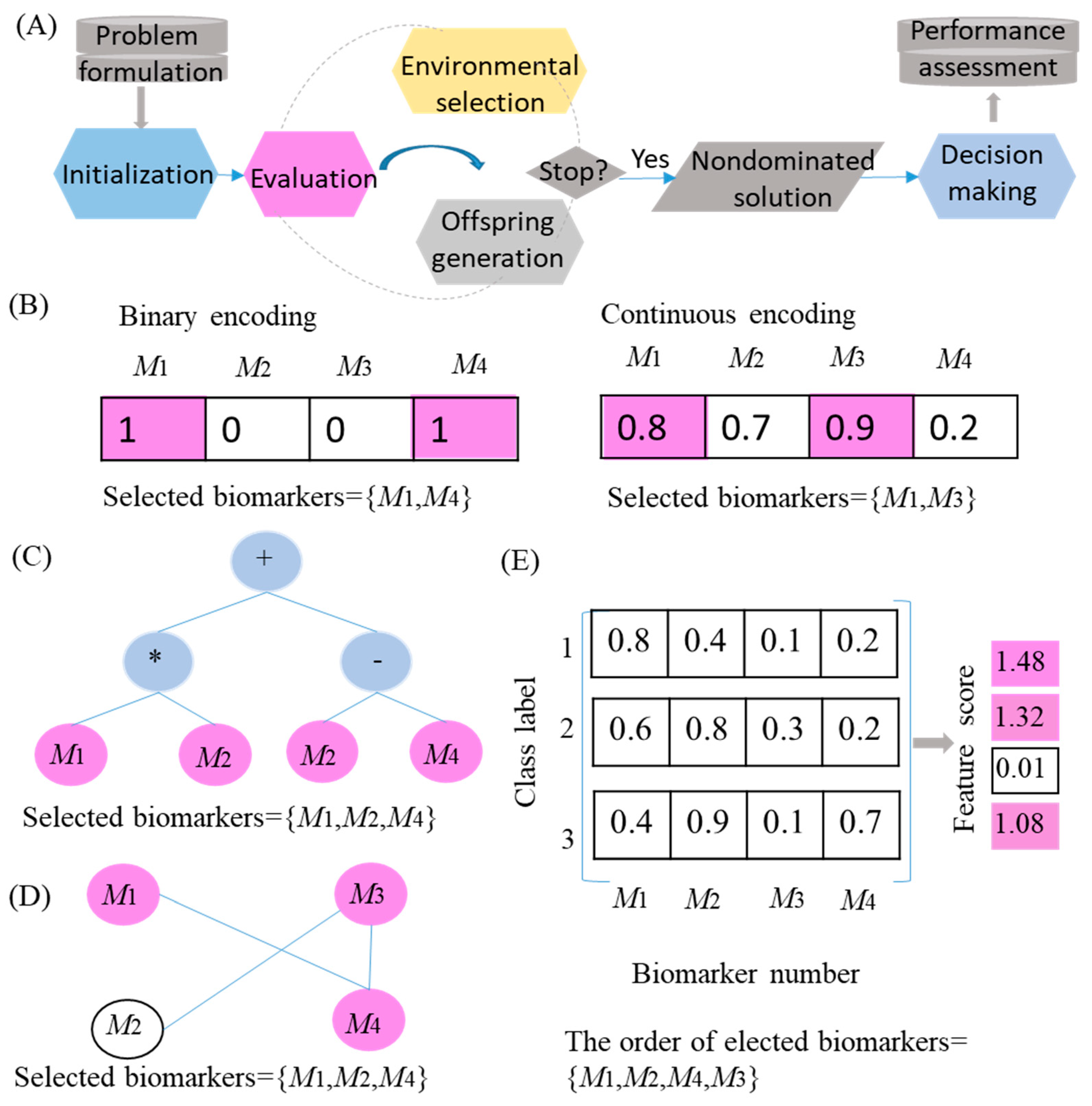 Genes 16 00244 g003 Genes 16 00244 g003