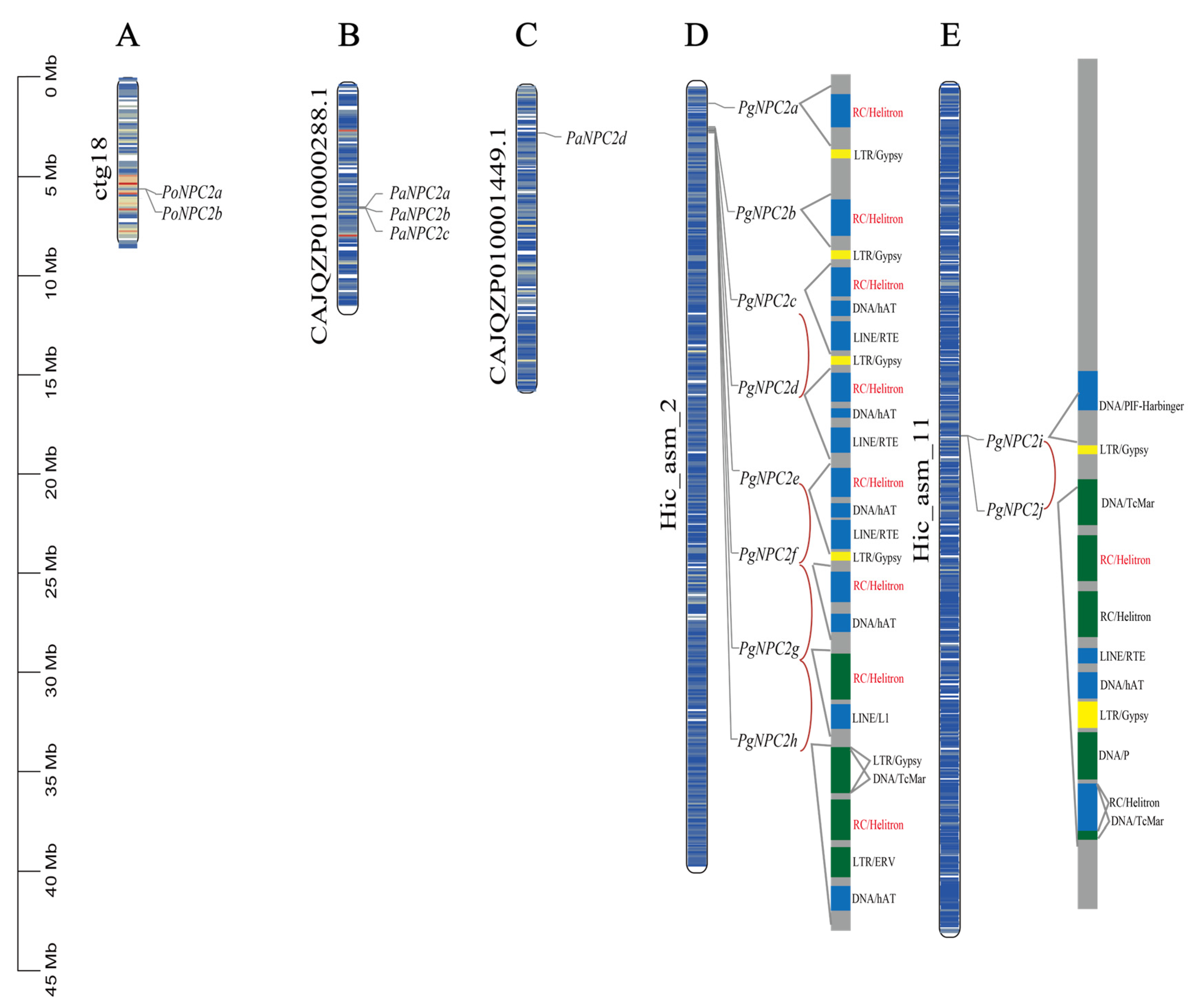 Genes 16 00249 g003