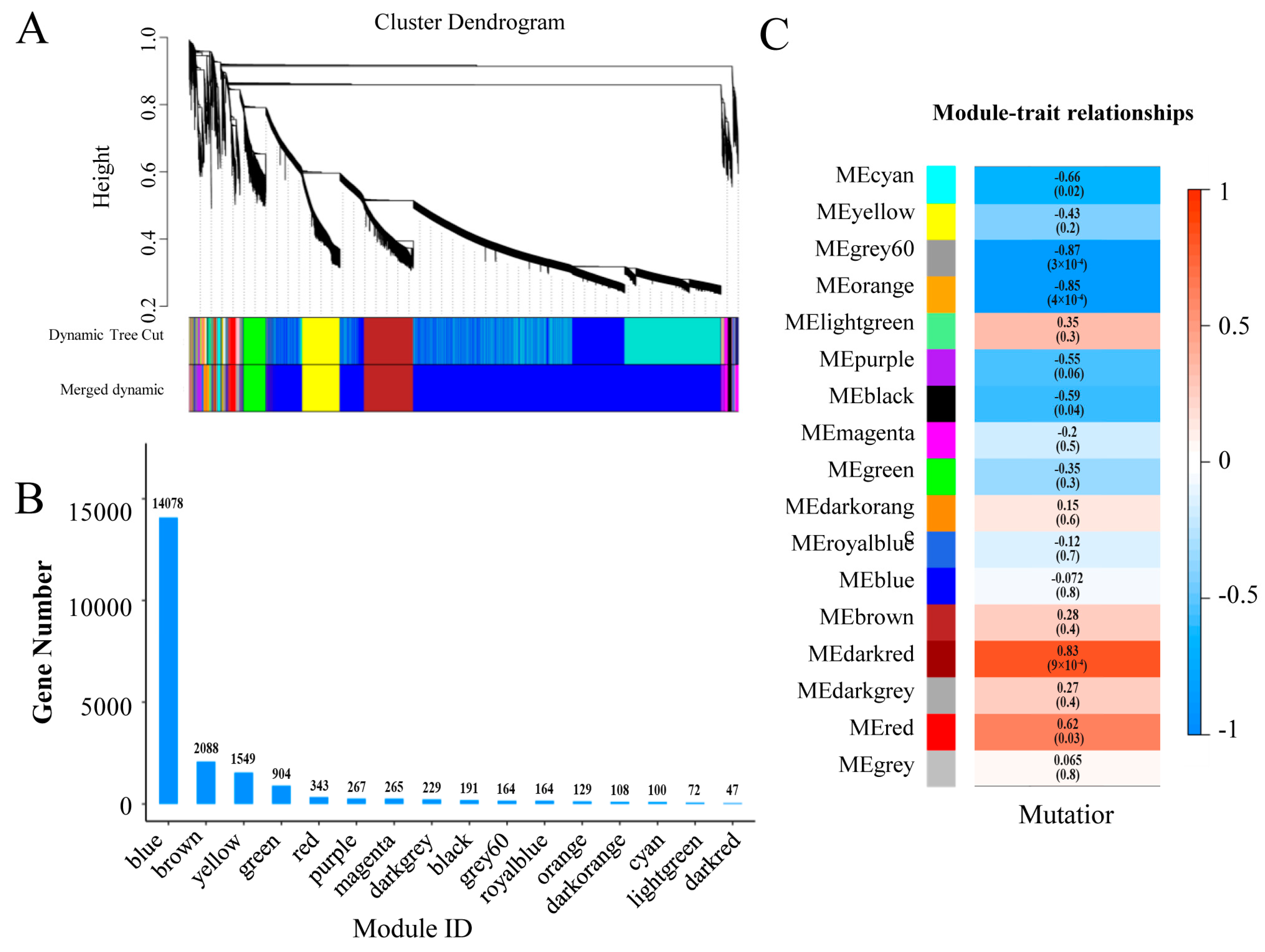 Genes 16 00259 g006 Genes 16 00259 g006