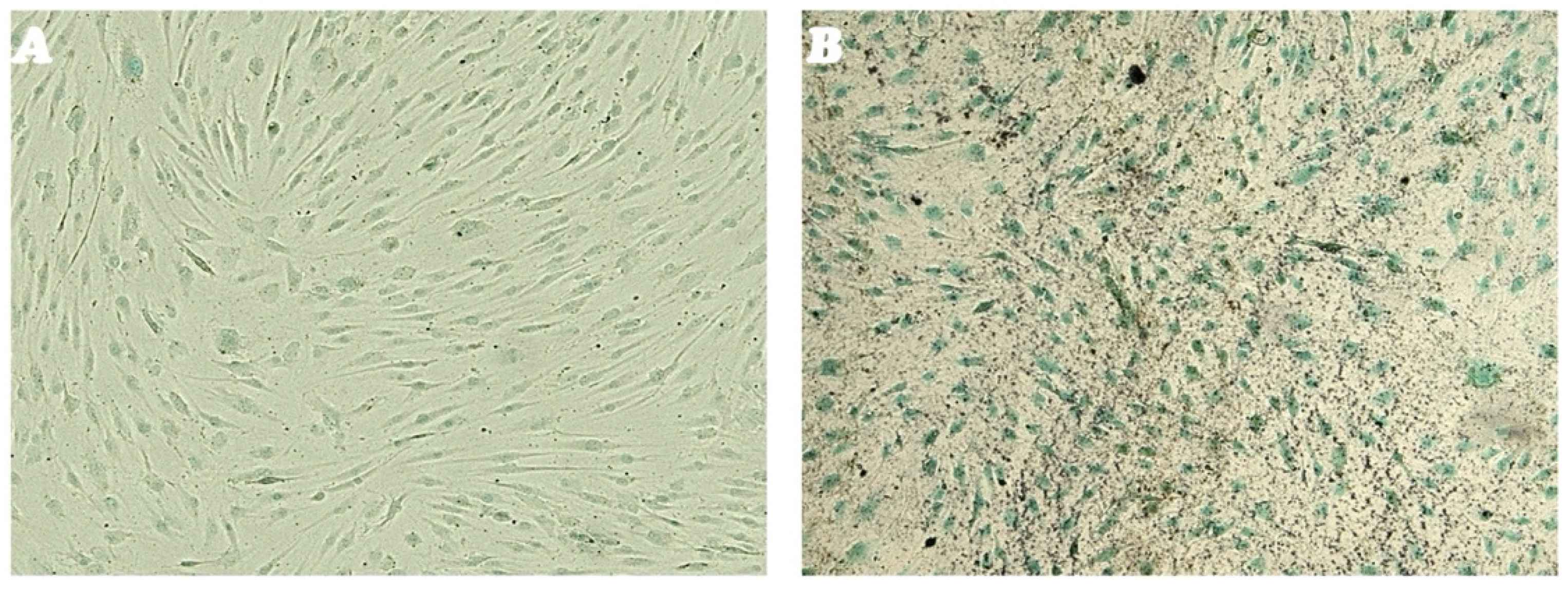 Genes 16 00263 g004 Genes 16 00263 g004