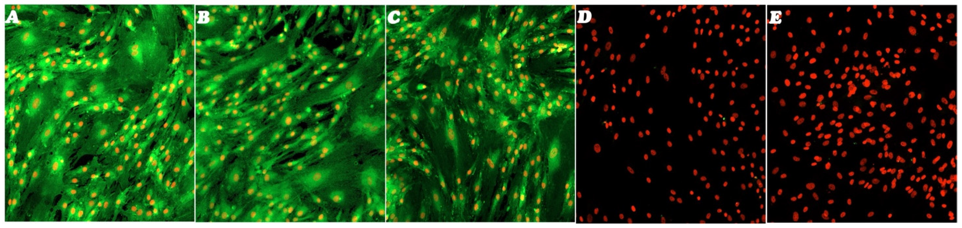 Genes 16 00263 g005 Genes 16 00263 g005