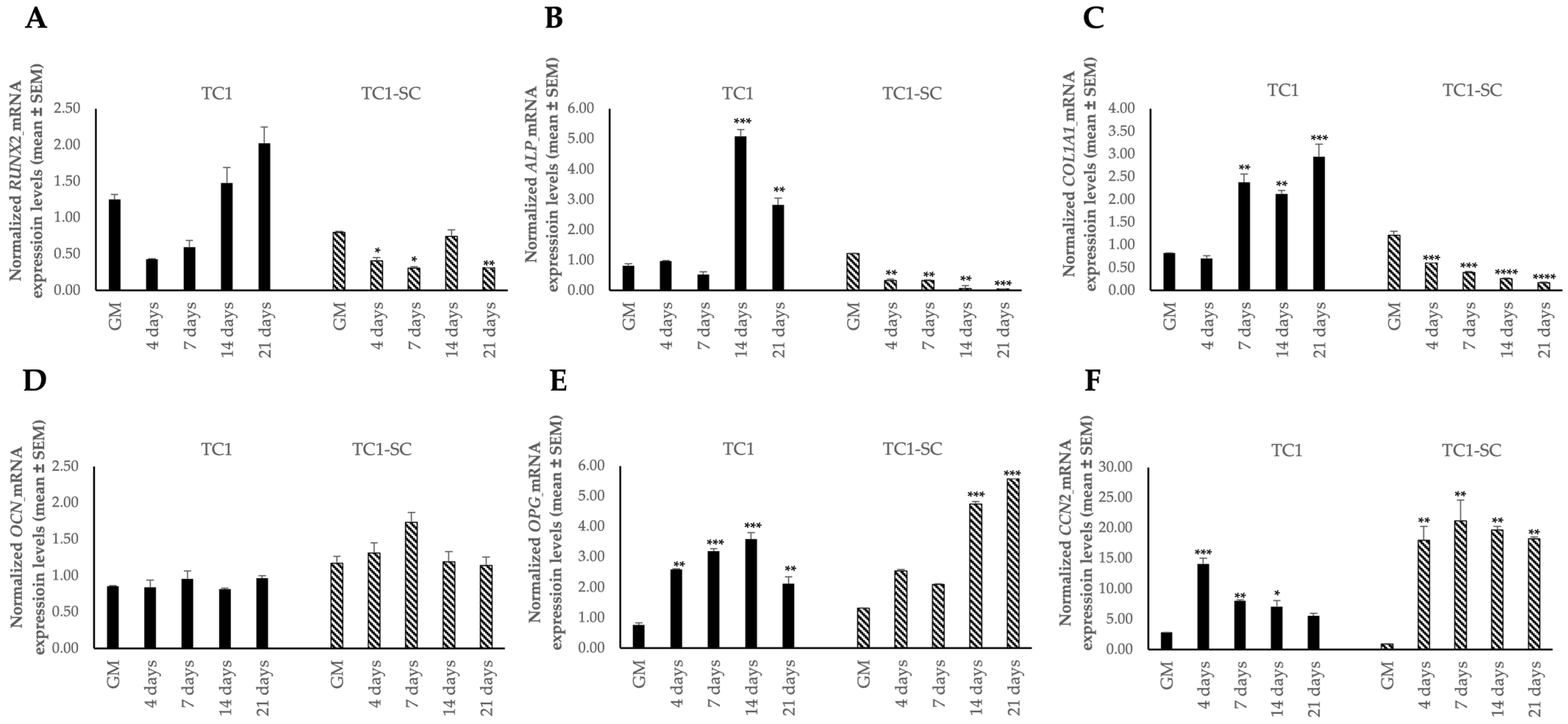 Genes 16 00263 g009 Genes 16 00263 g009
