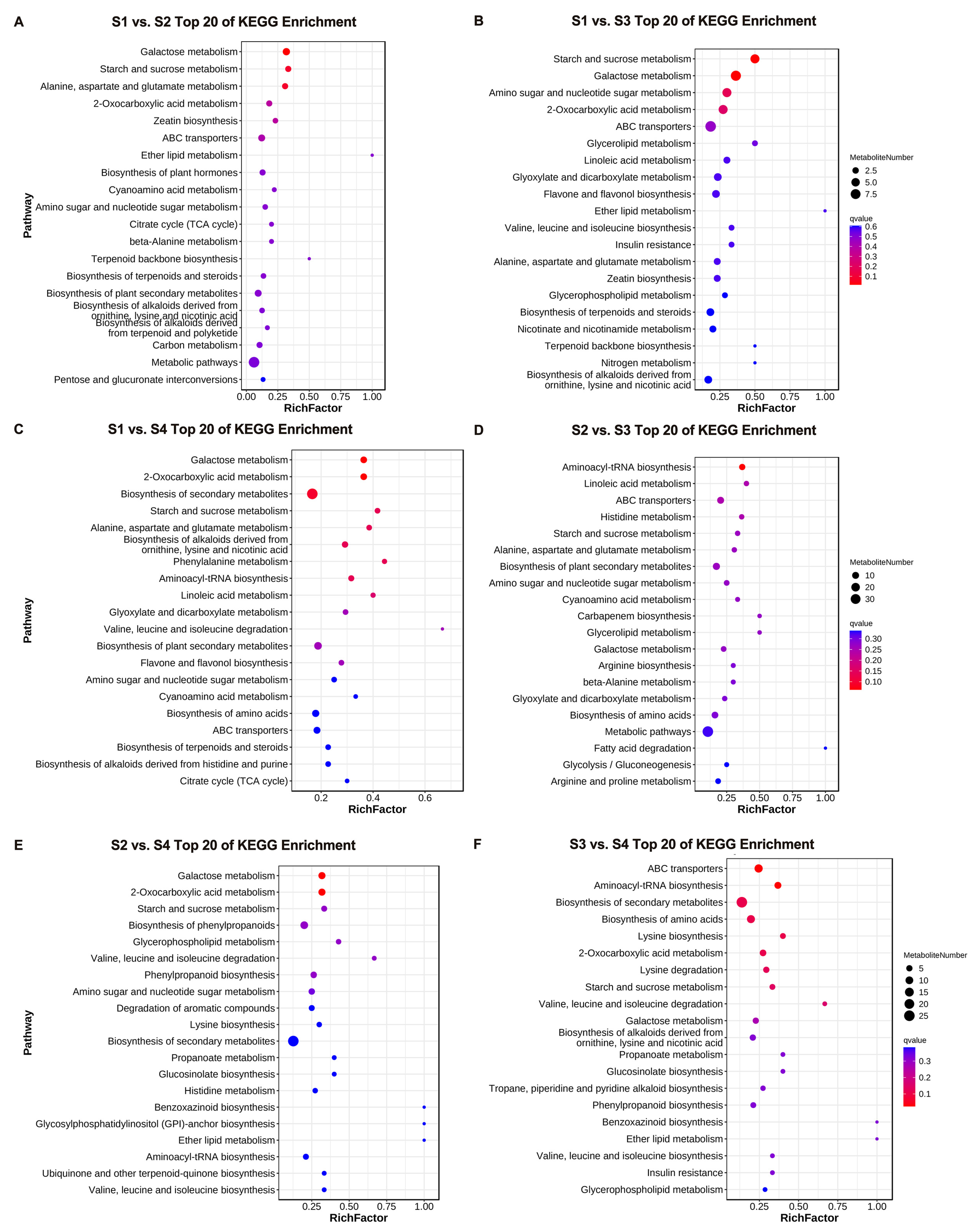 Genes 16 00264 g003