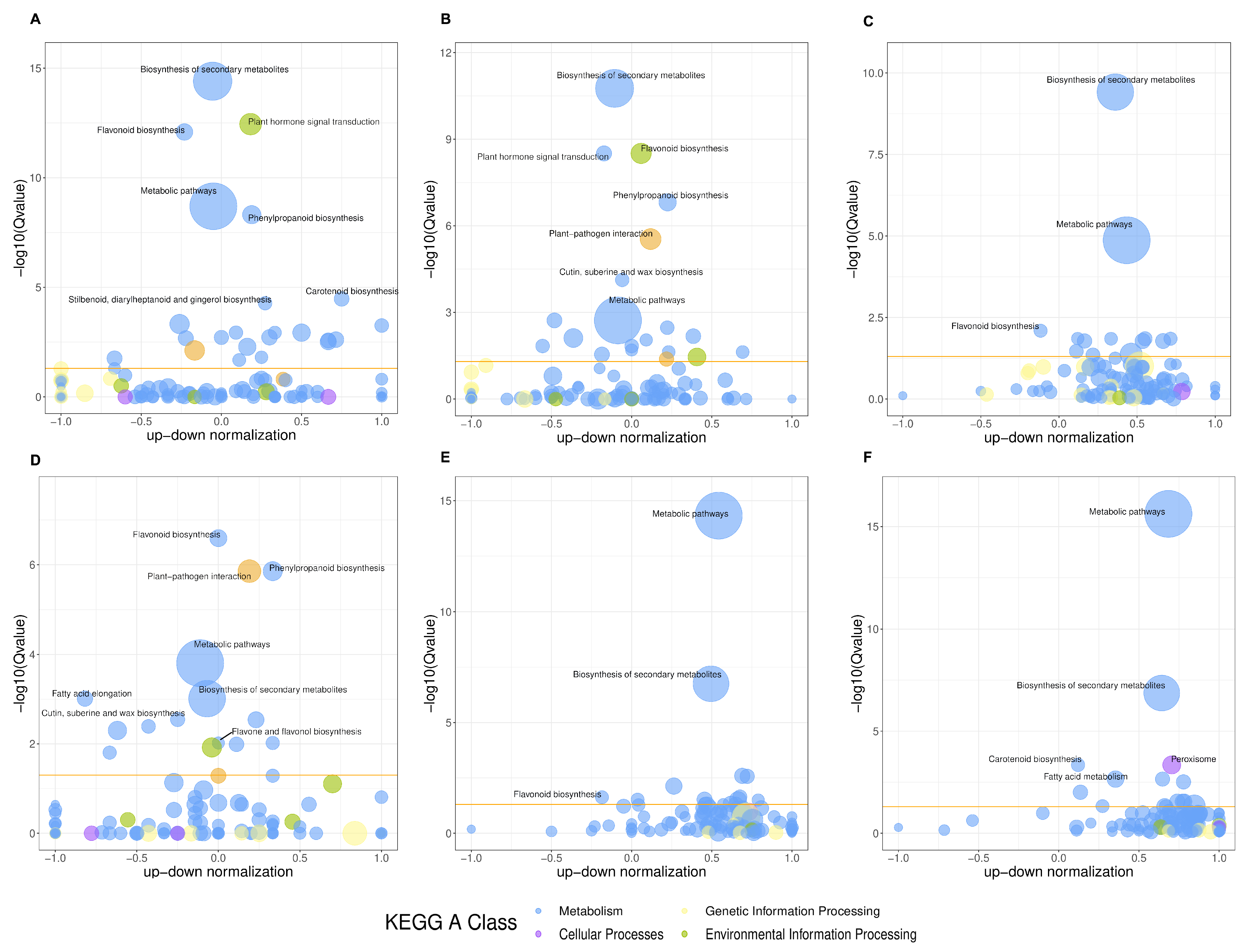 Genes 16 00264 g005