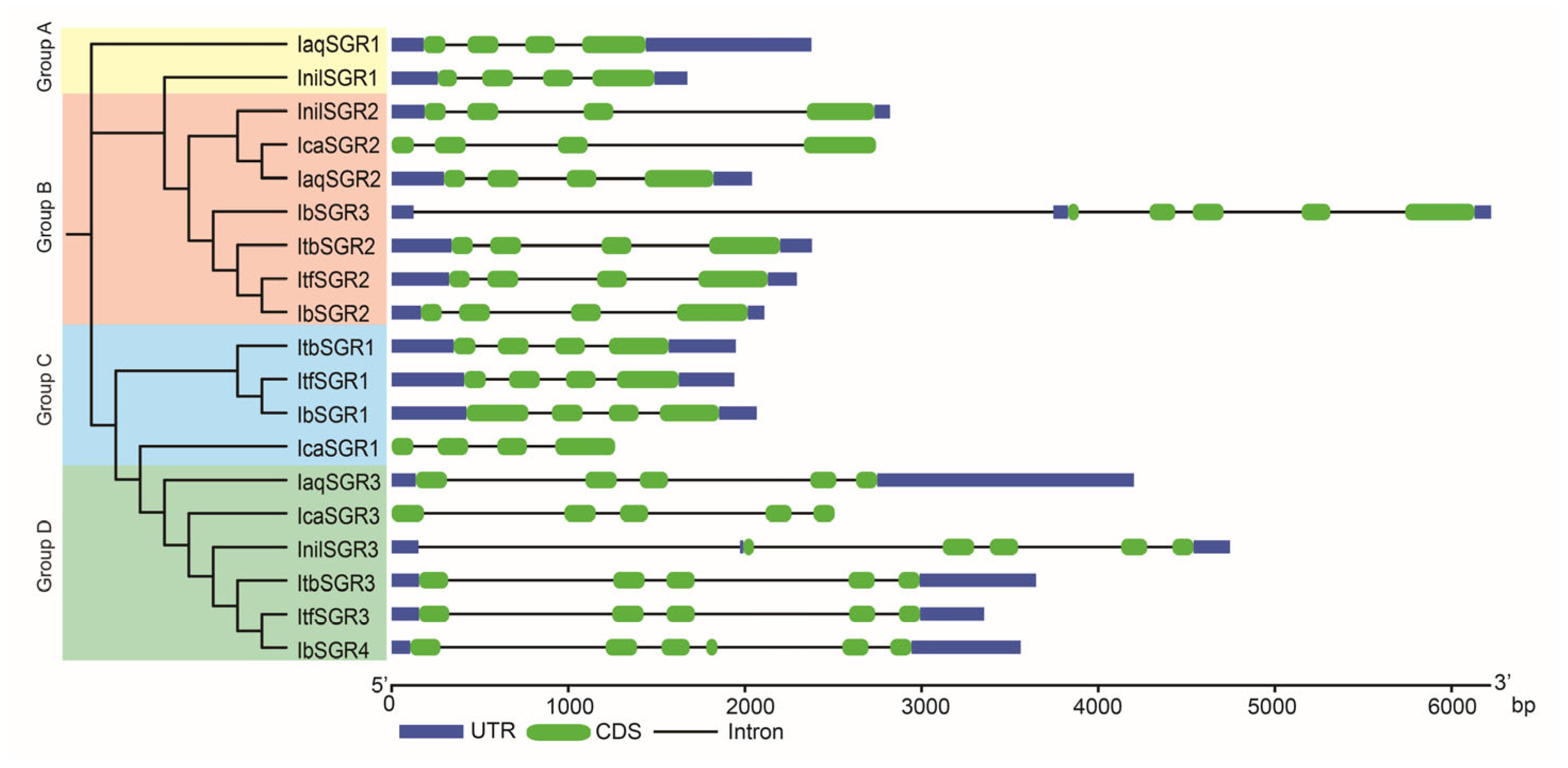 Genes 16 00266 g004