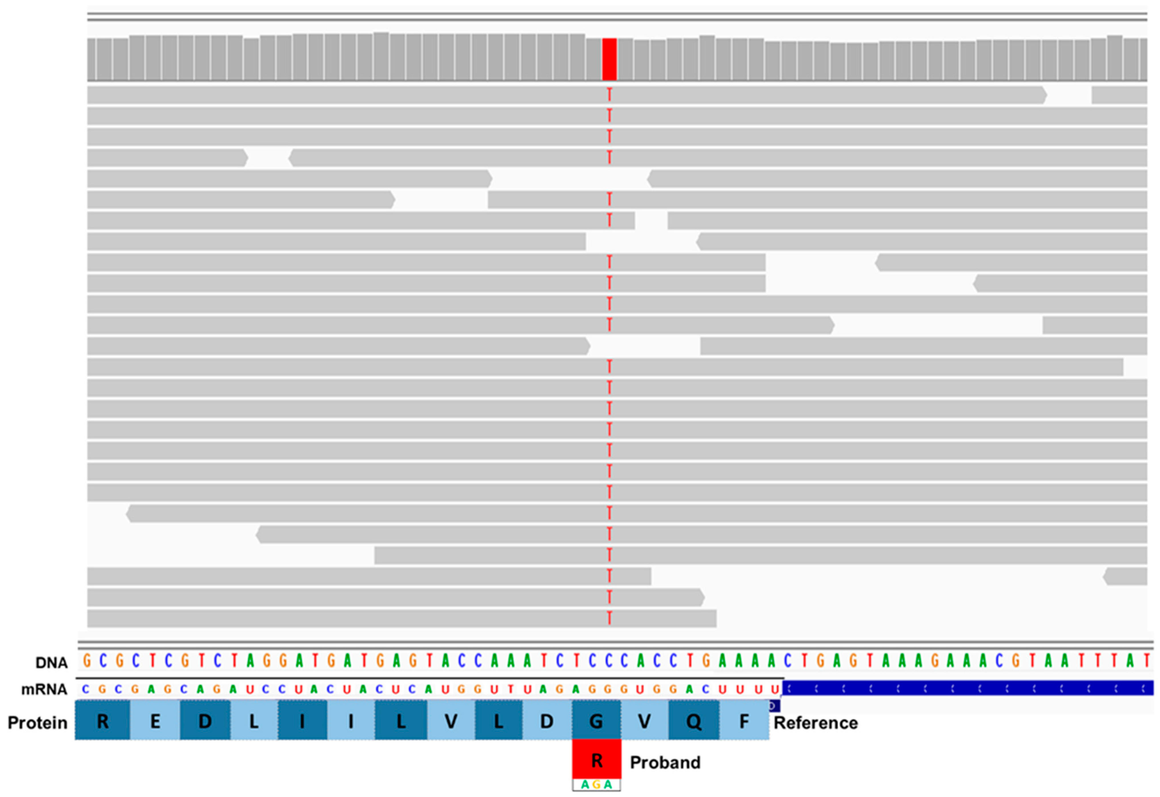 Genes 16 00269 g001 Genes 16 00269 g001
