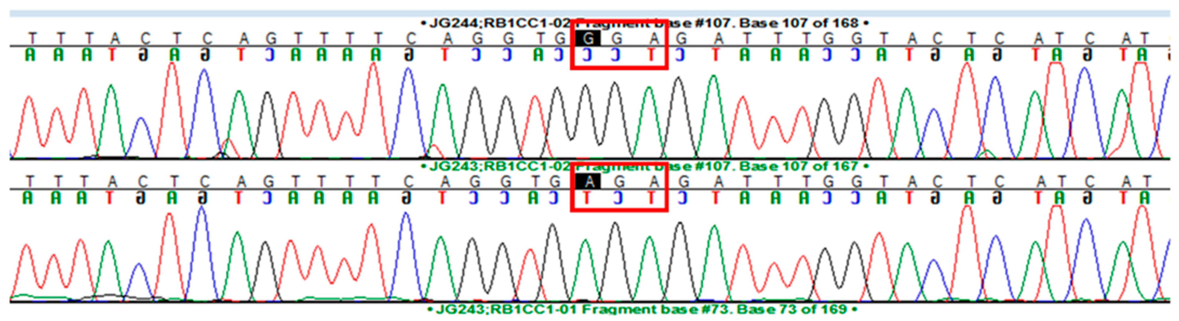 Genes 16 00269 g002 Genes 16 00269 g002