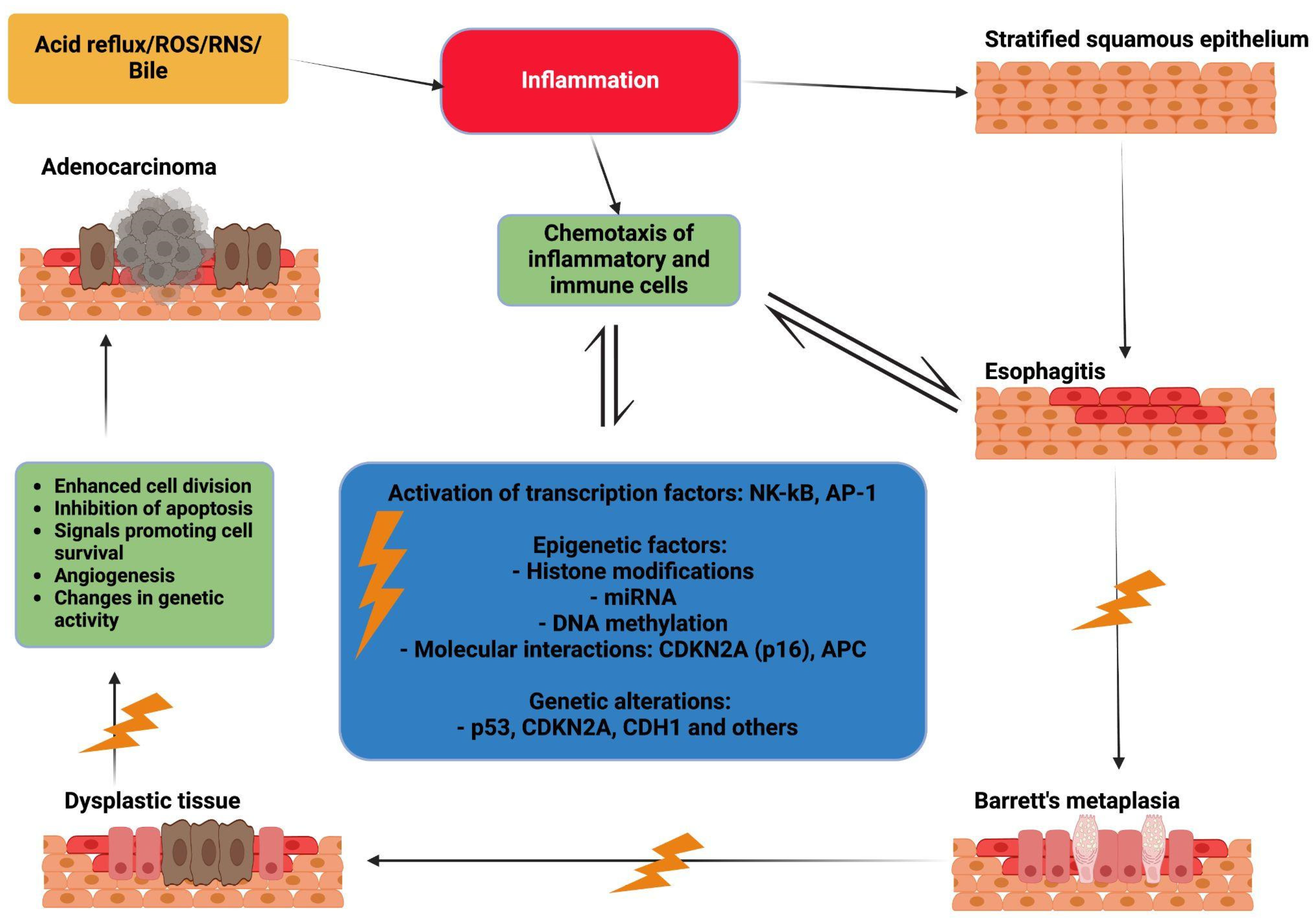 Genes 16 00270 g002 Genes 16 00270 g002