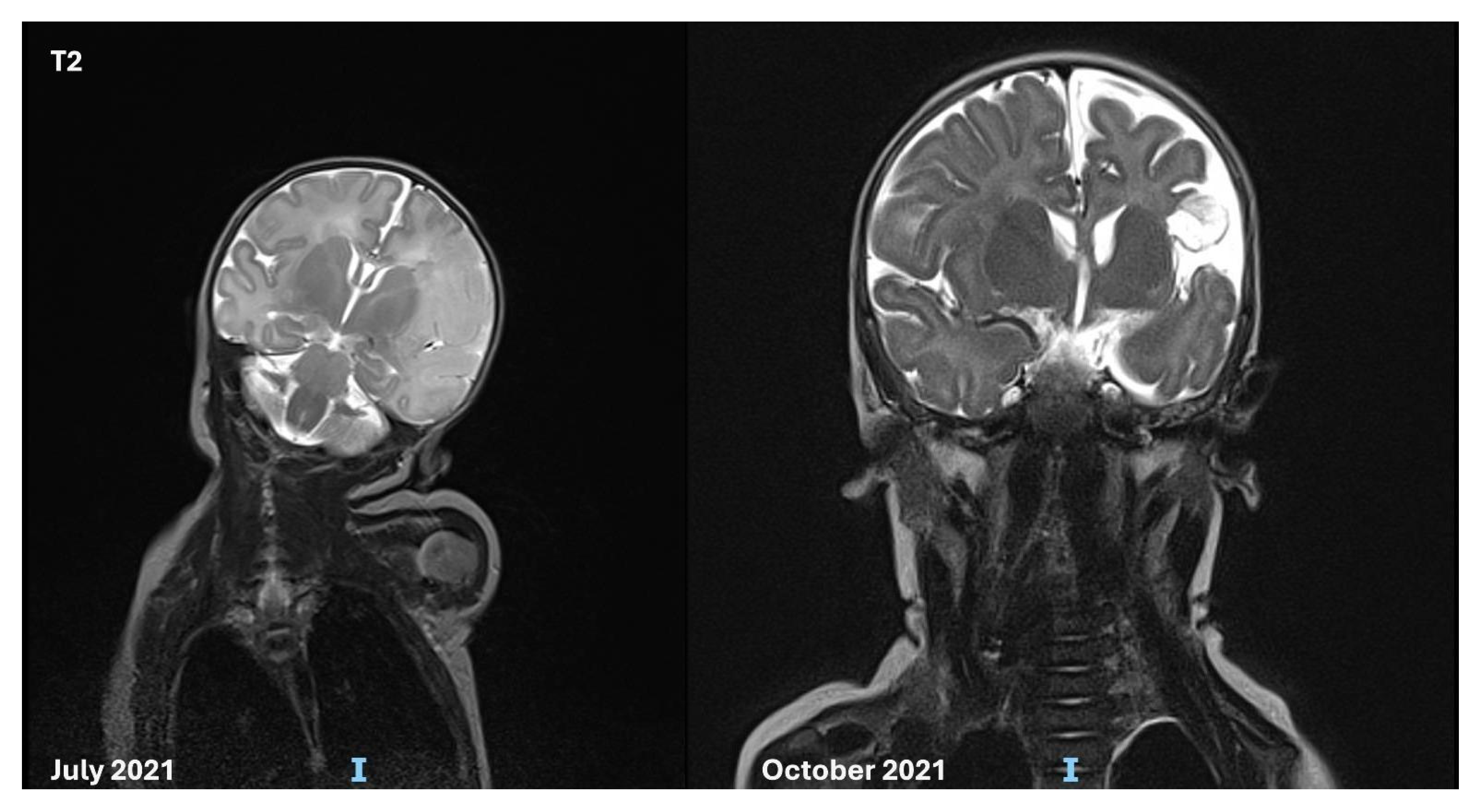 Genes 16 00271 g001 Genes 16 00271 g001