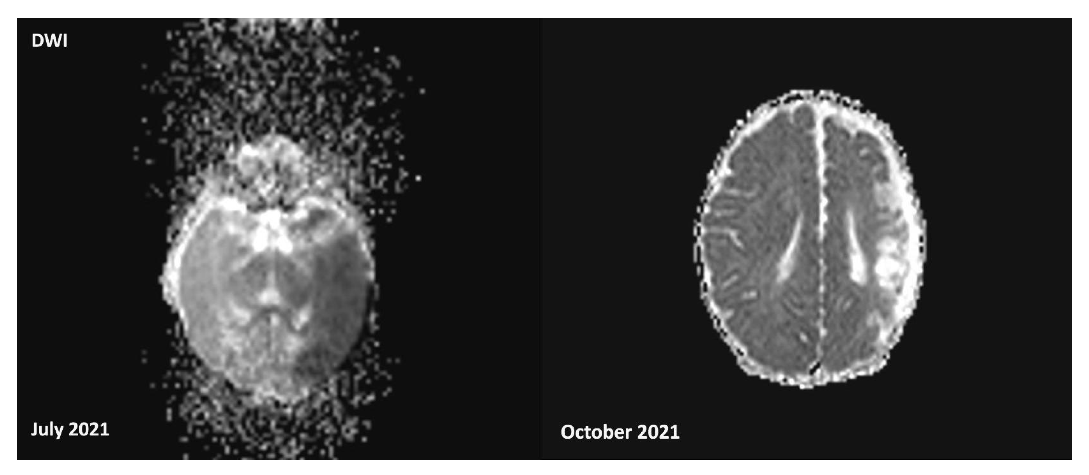 Genes 16 00271 g002 Genes 16 00271 g002