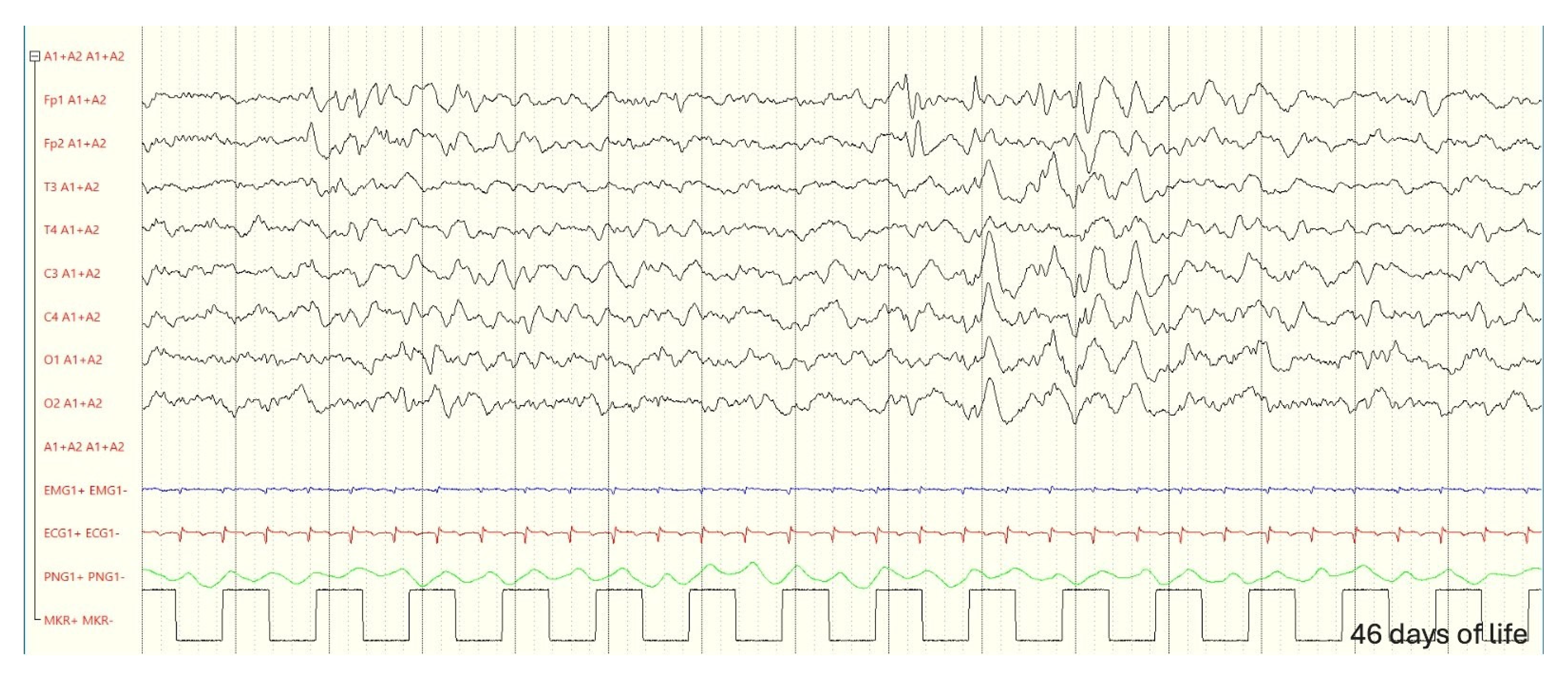 Genes 16 00271 g003 Genes 16 00271 g003