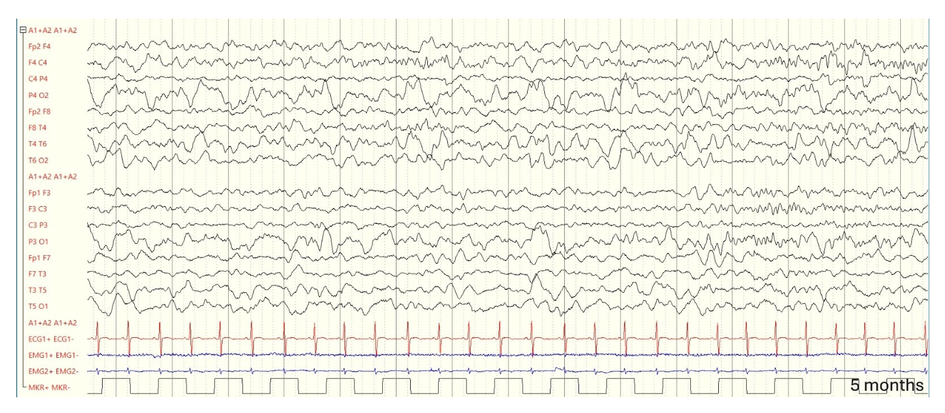 Genes 16 00271 g004 Genes 16 00271 g004