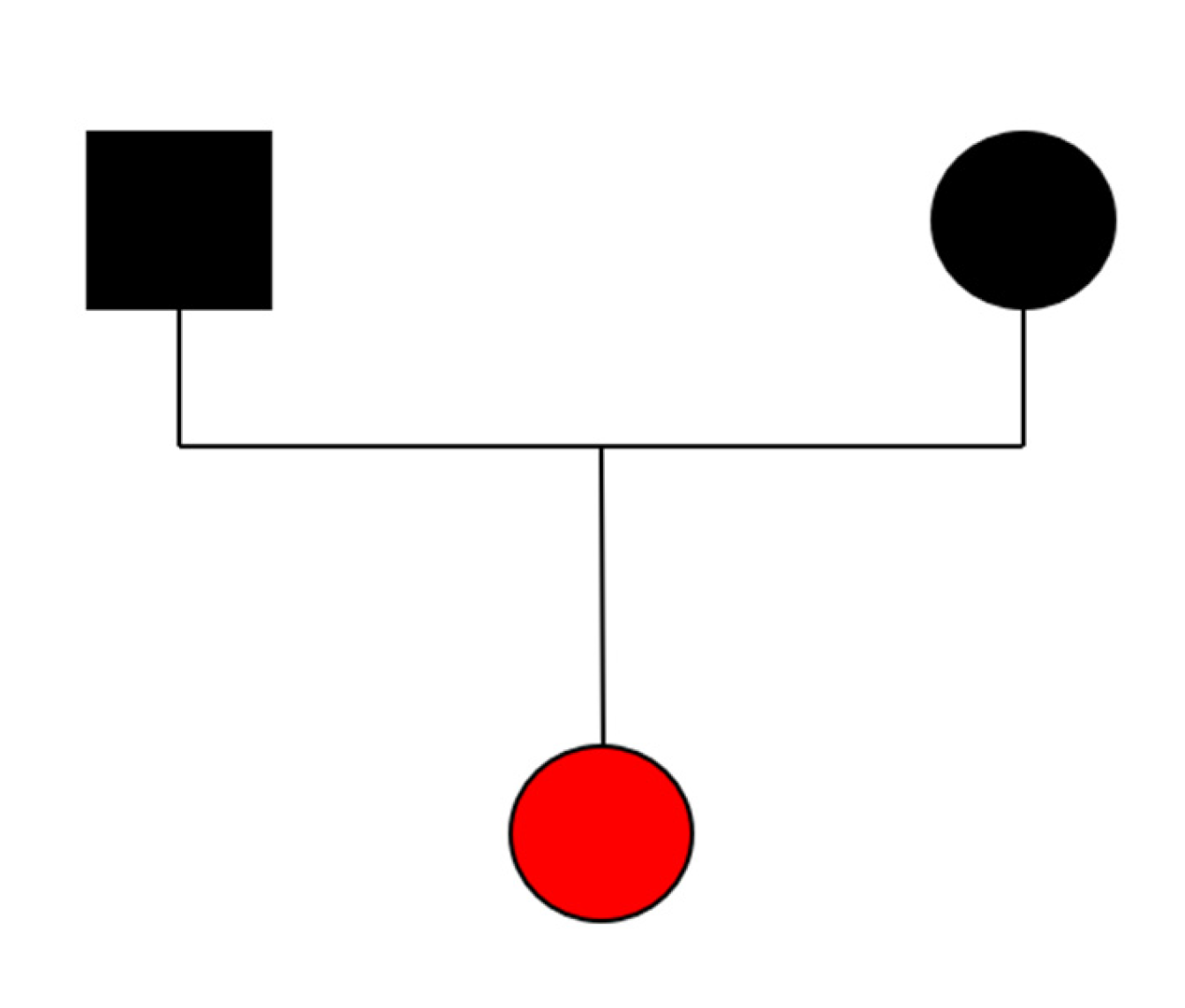 Genes 16 00271 g006 Genes 16 00271 g006