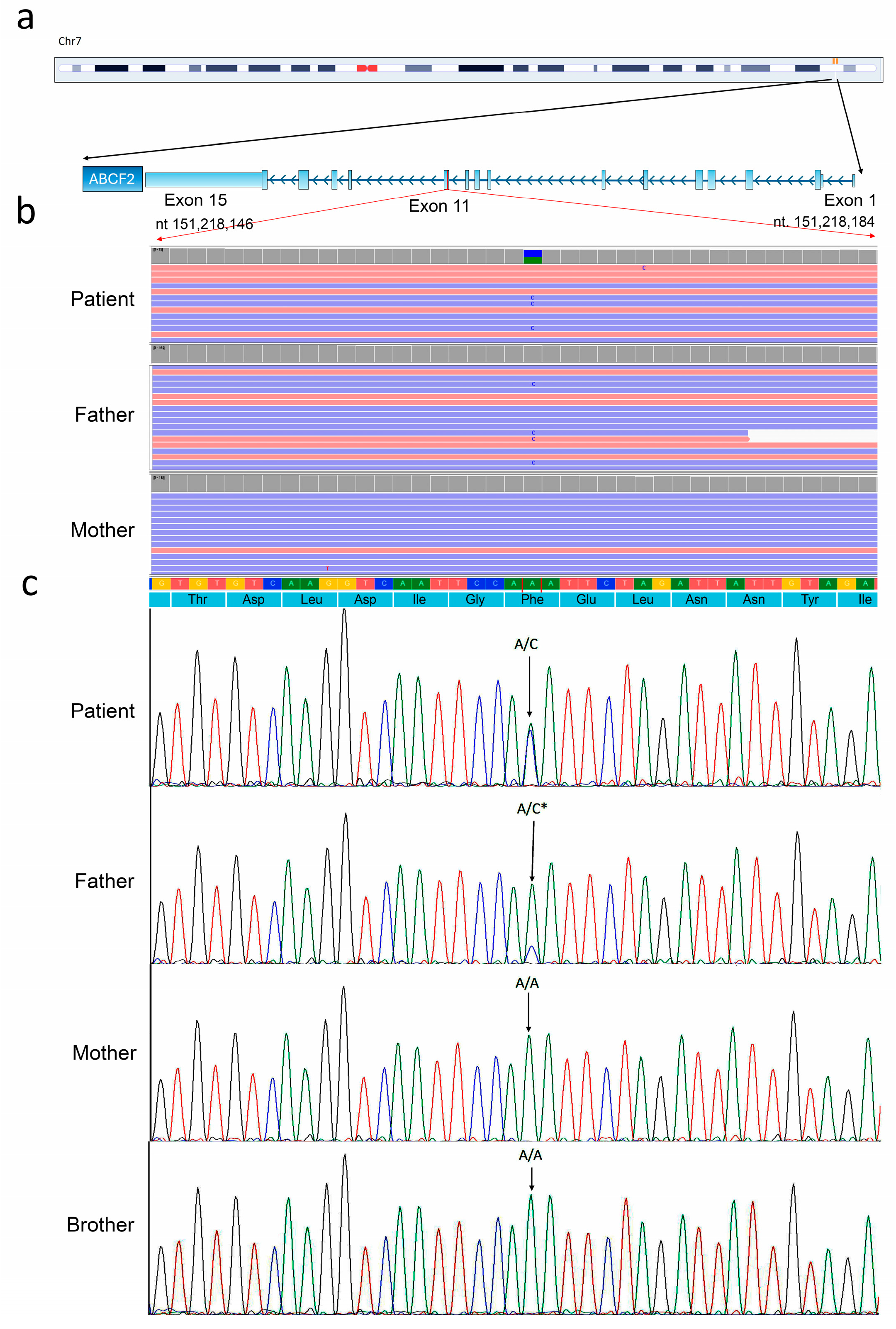 Genes 16 00281 g002