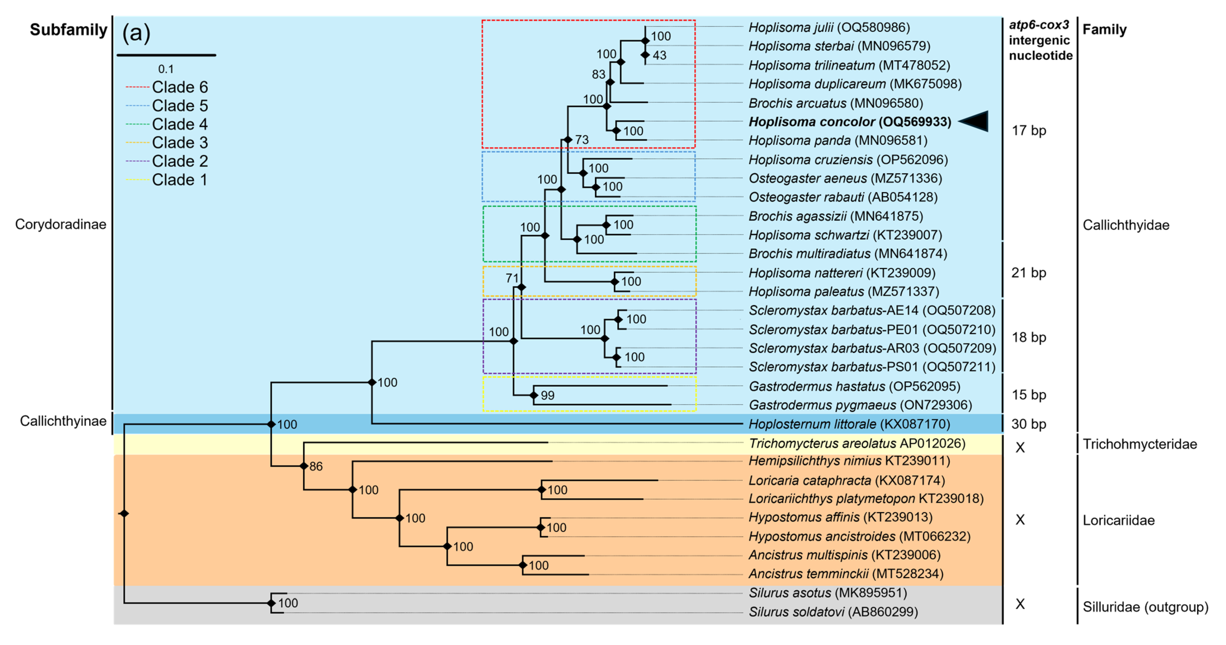 Genes 16 00282 g005a