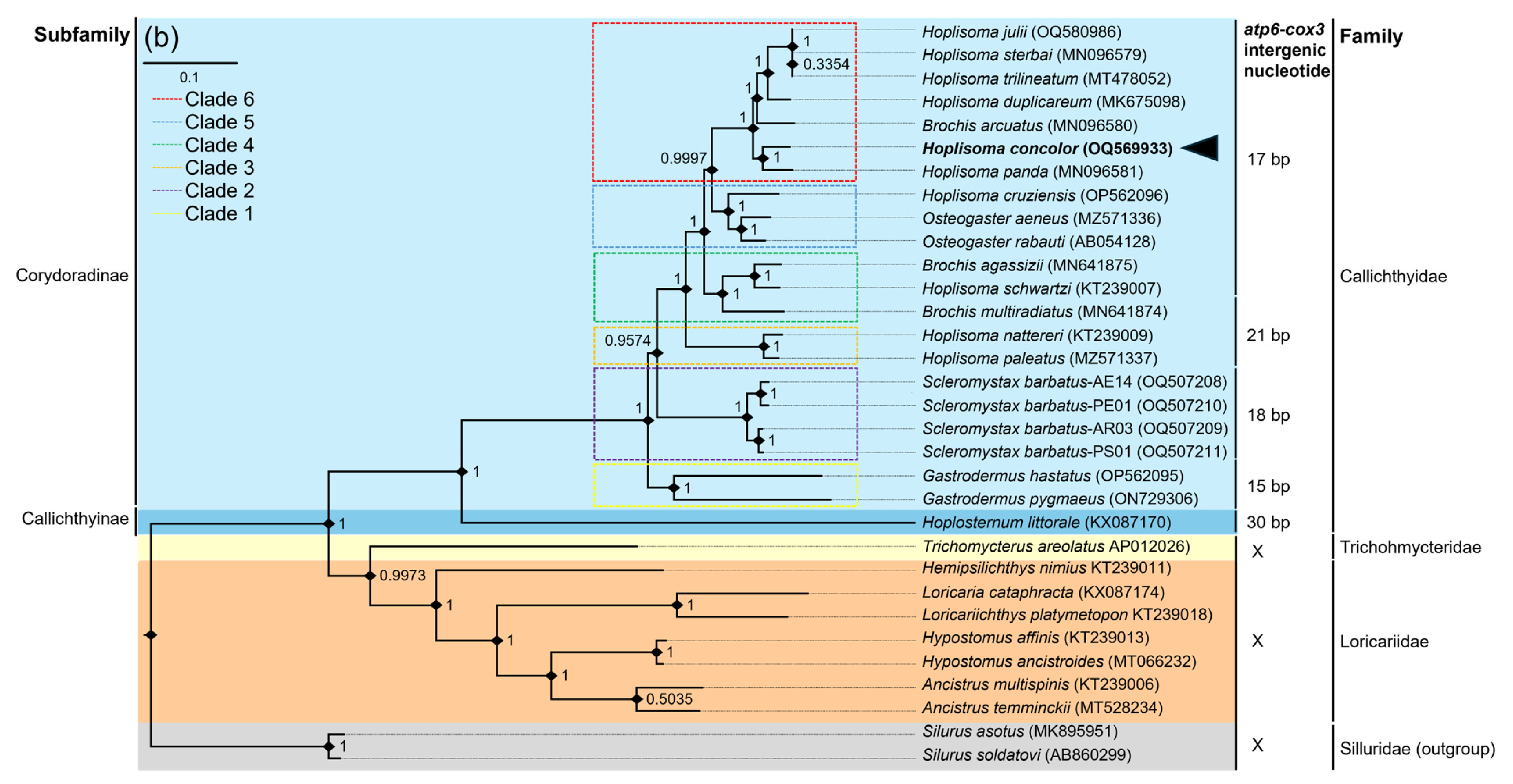 Genes 16 00282 g005b