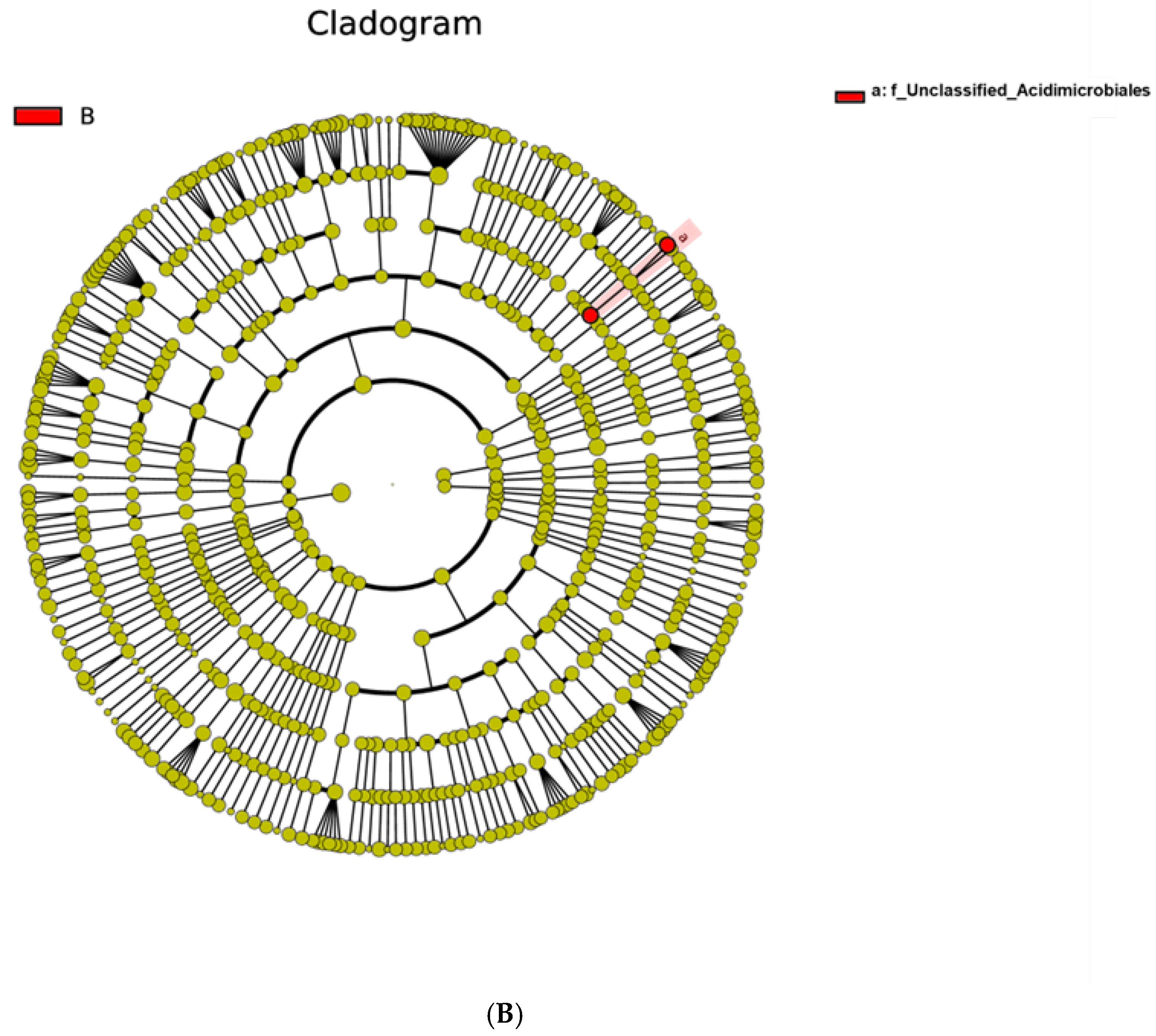 Genes 16 00285 g014b