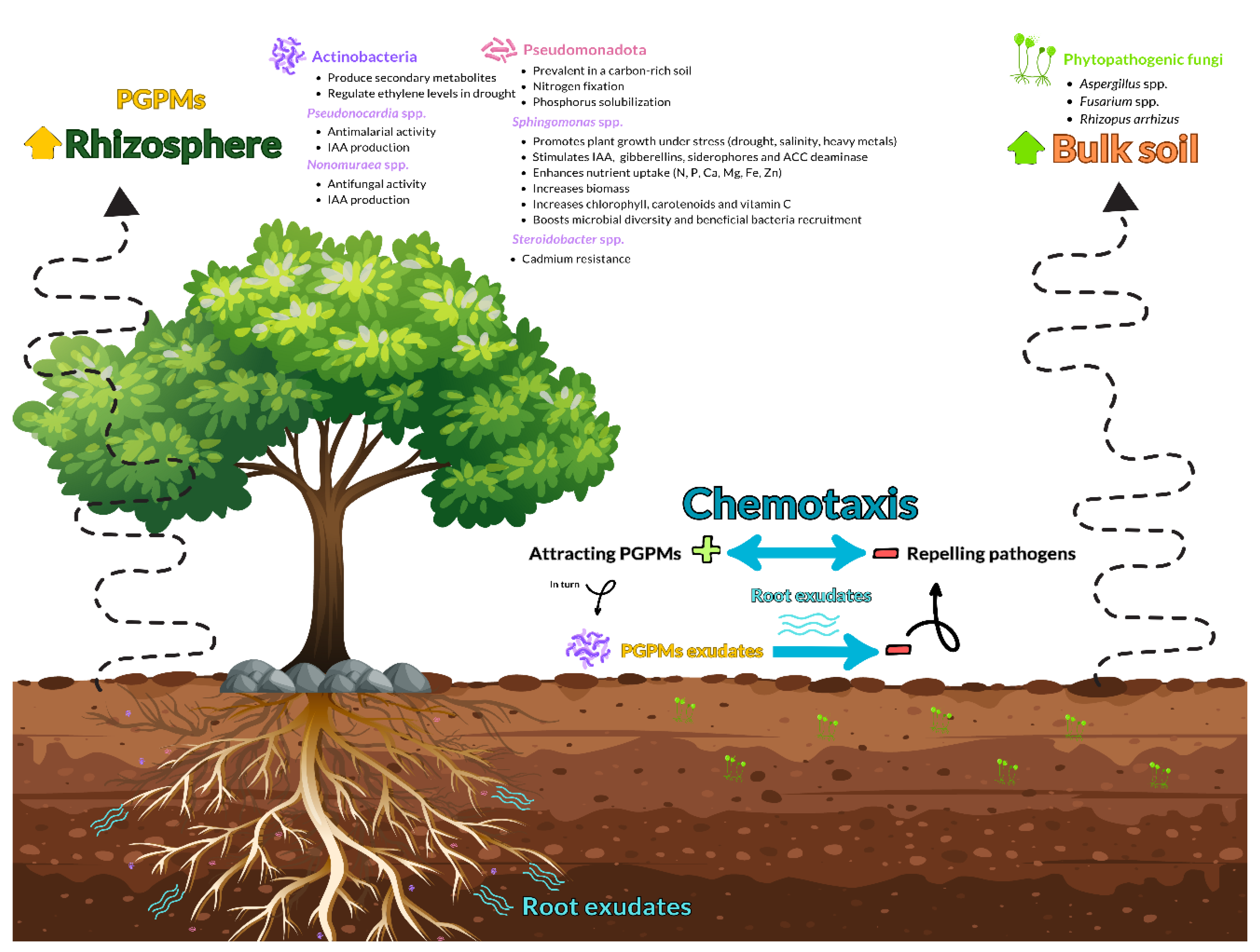 Genes 16 00285 g015