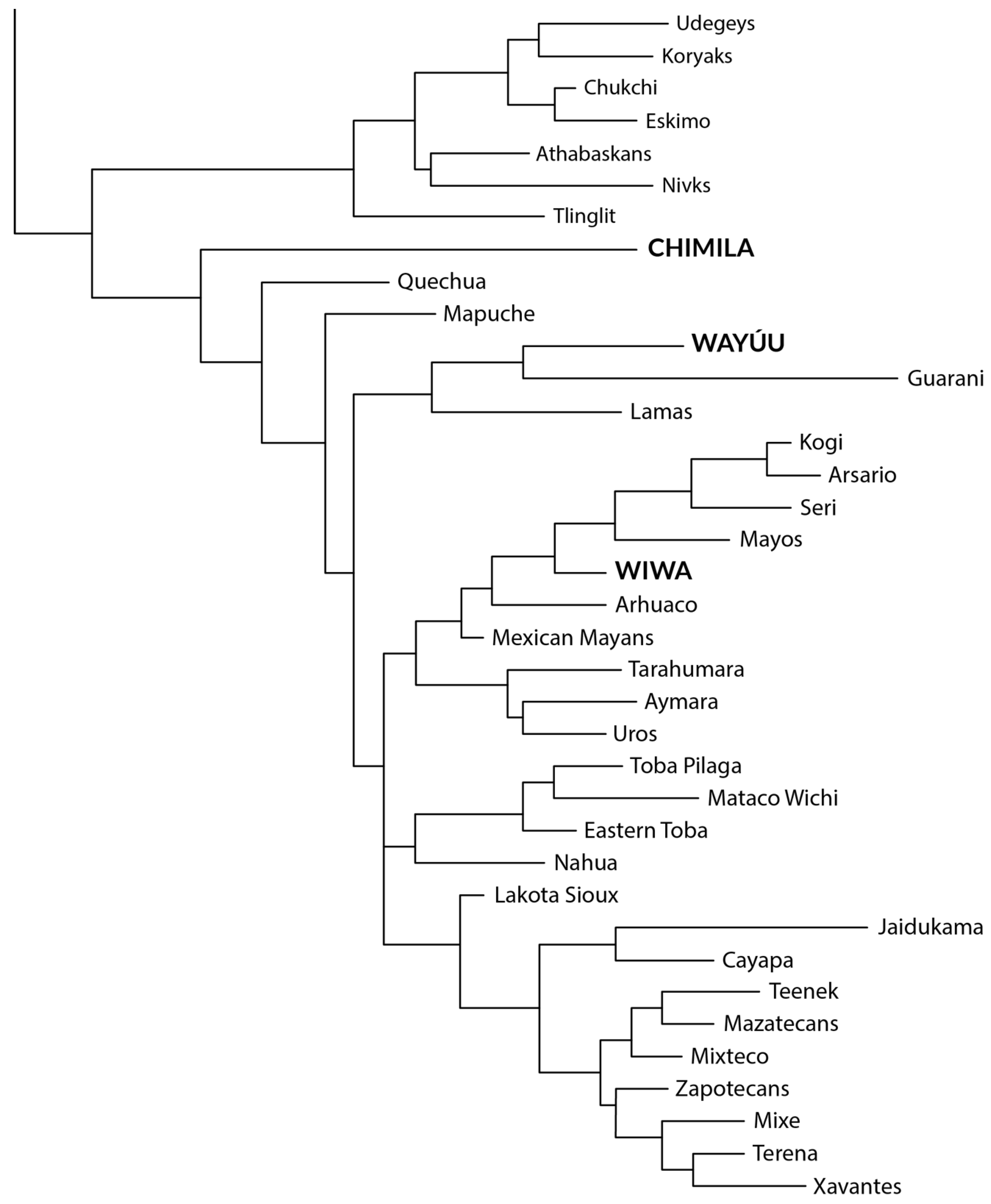 Genes 16 00286 g002b Genes 16 00286 g002b