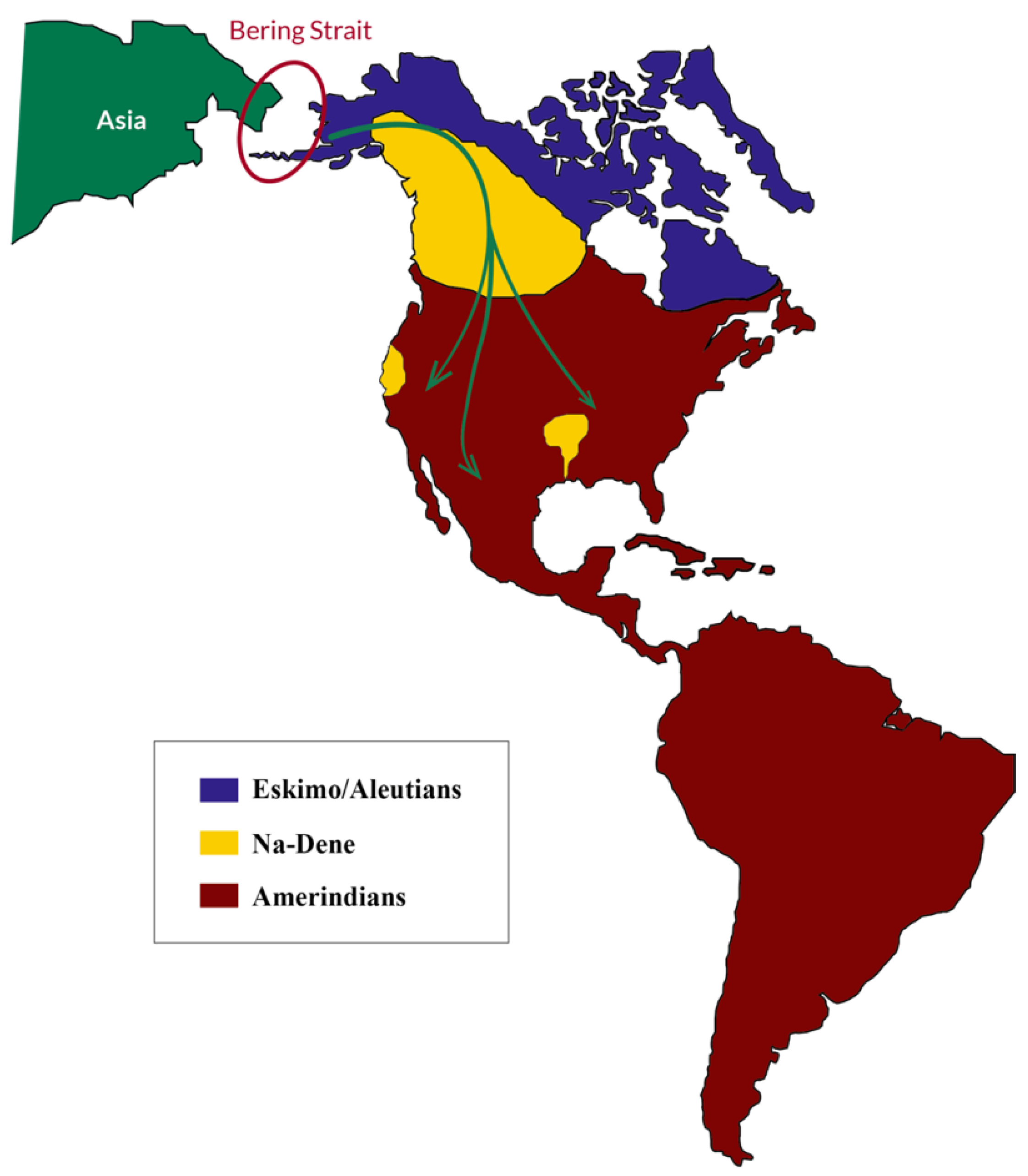 Genes 16 00286 g004 Genes 16 00286 g004