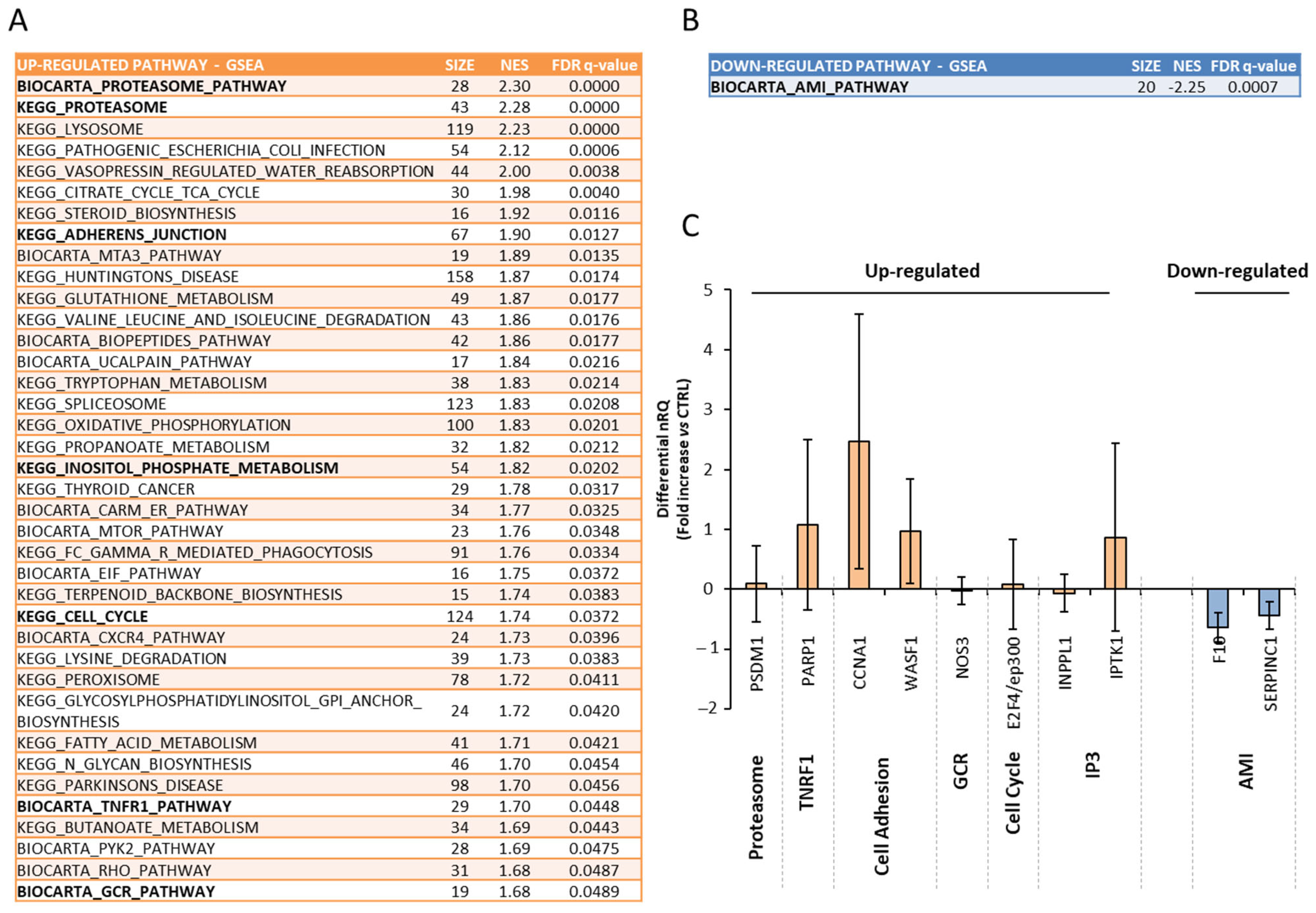 Genes 16 00290 g004