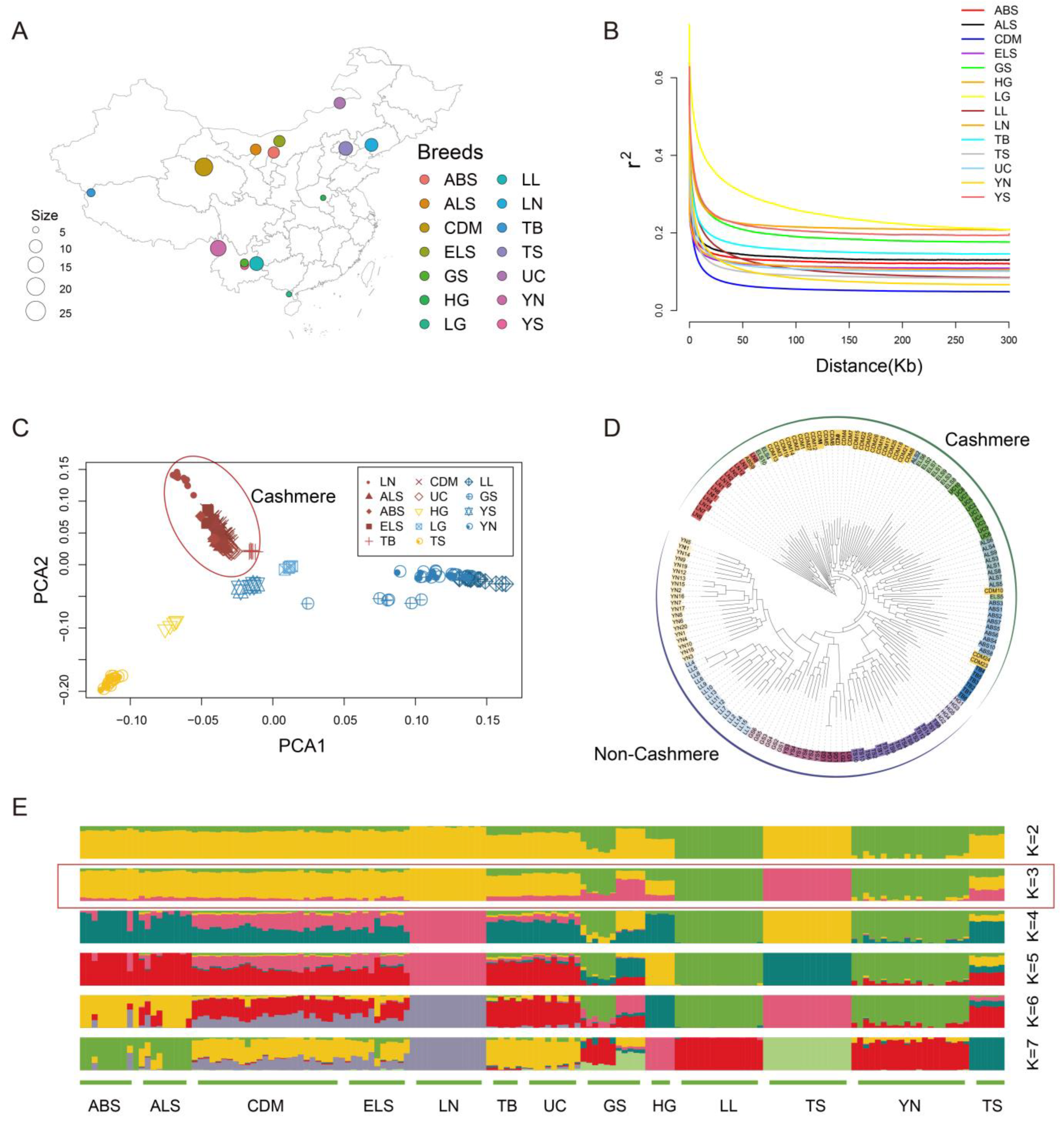 Genes 16 00292 g001 Genes 16 00292 g001