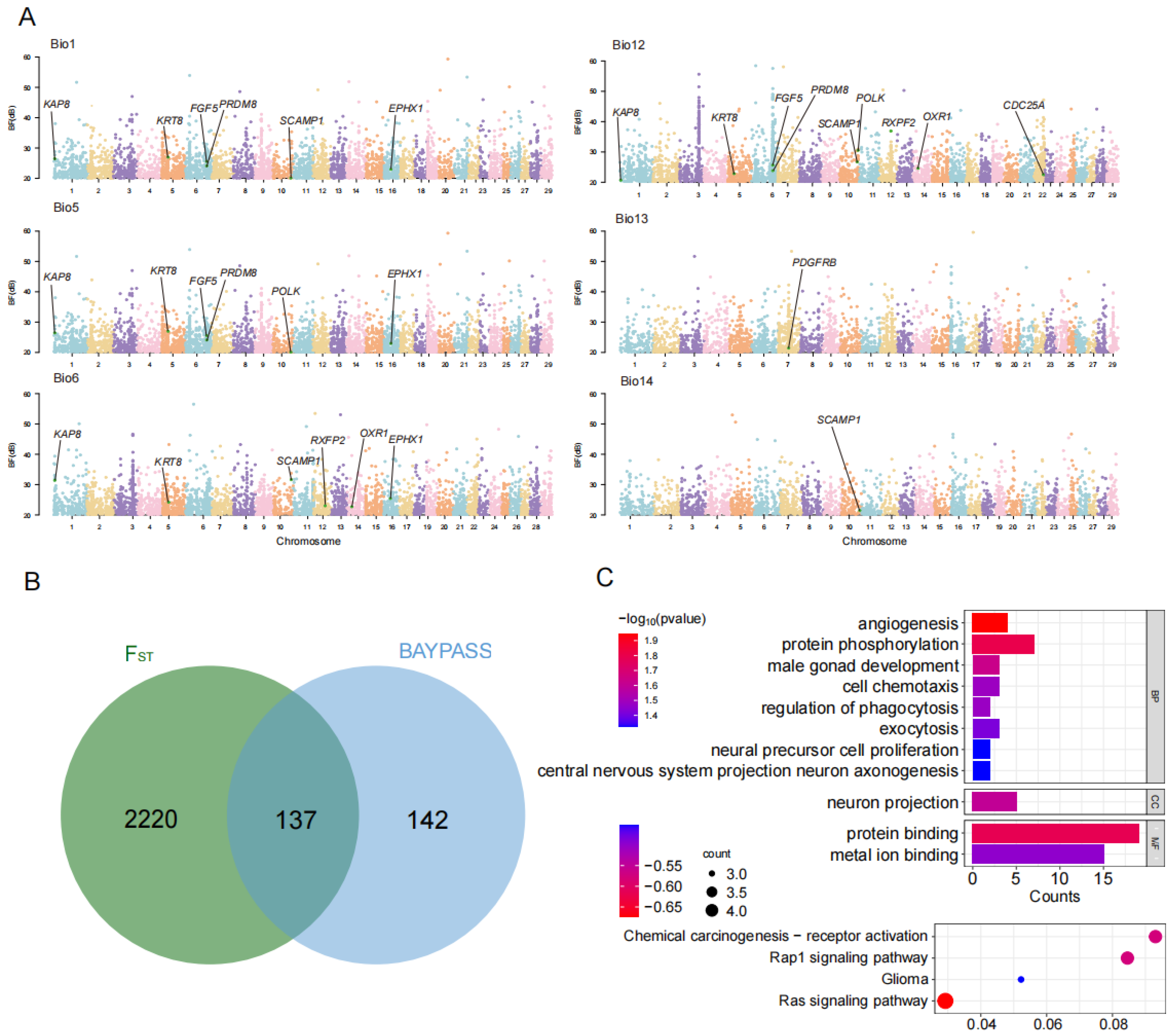 Genes 16 00292 g003 Genes 16 00292 g003