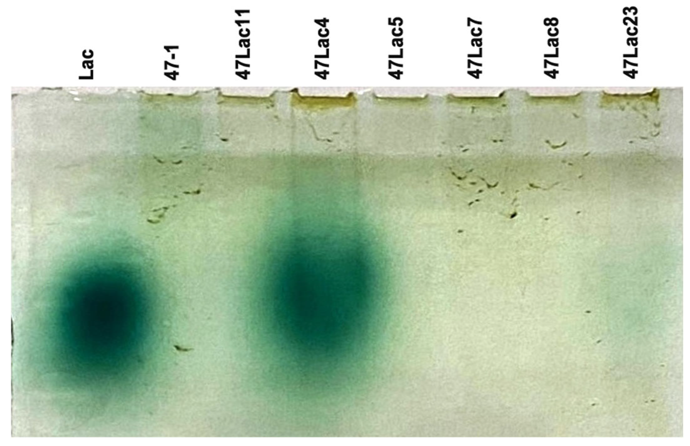 Genes 16 00298 g003 Genes 16 00298 g003