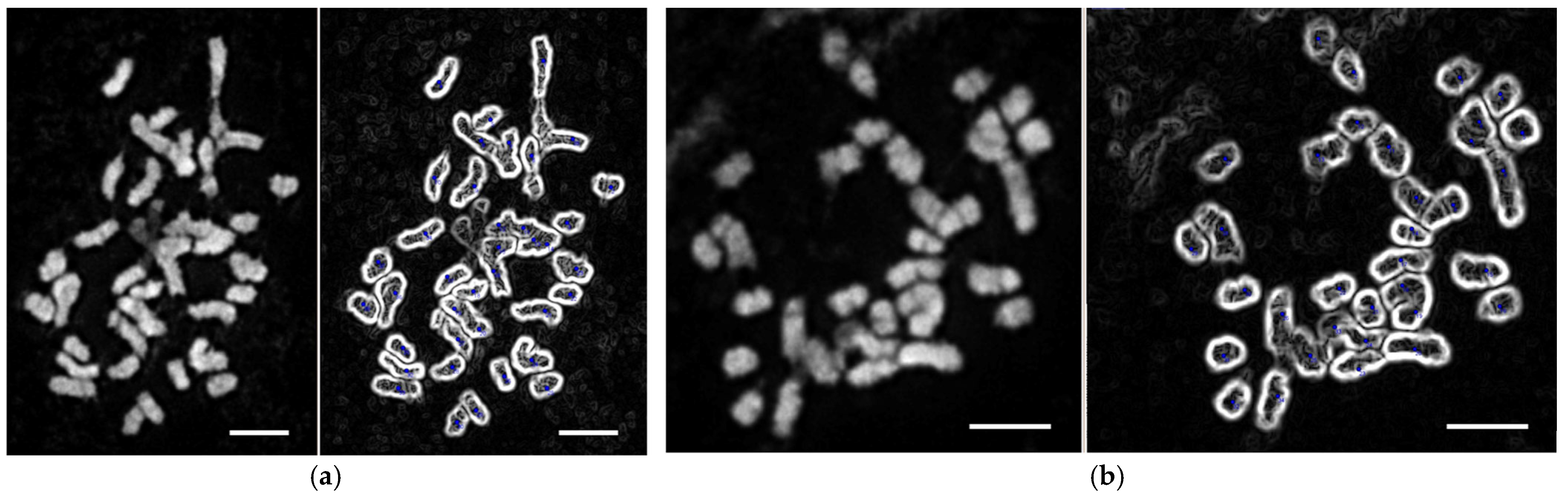 Genes 16 00298 g004 Genes 16 00298 g004