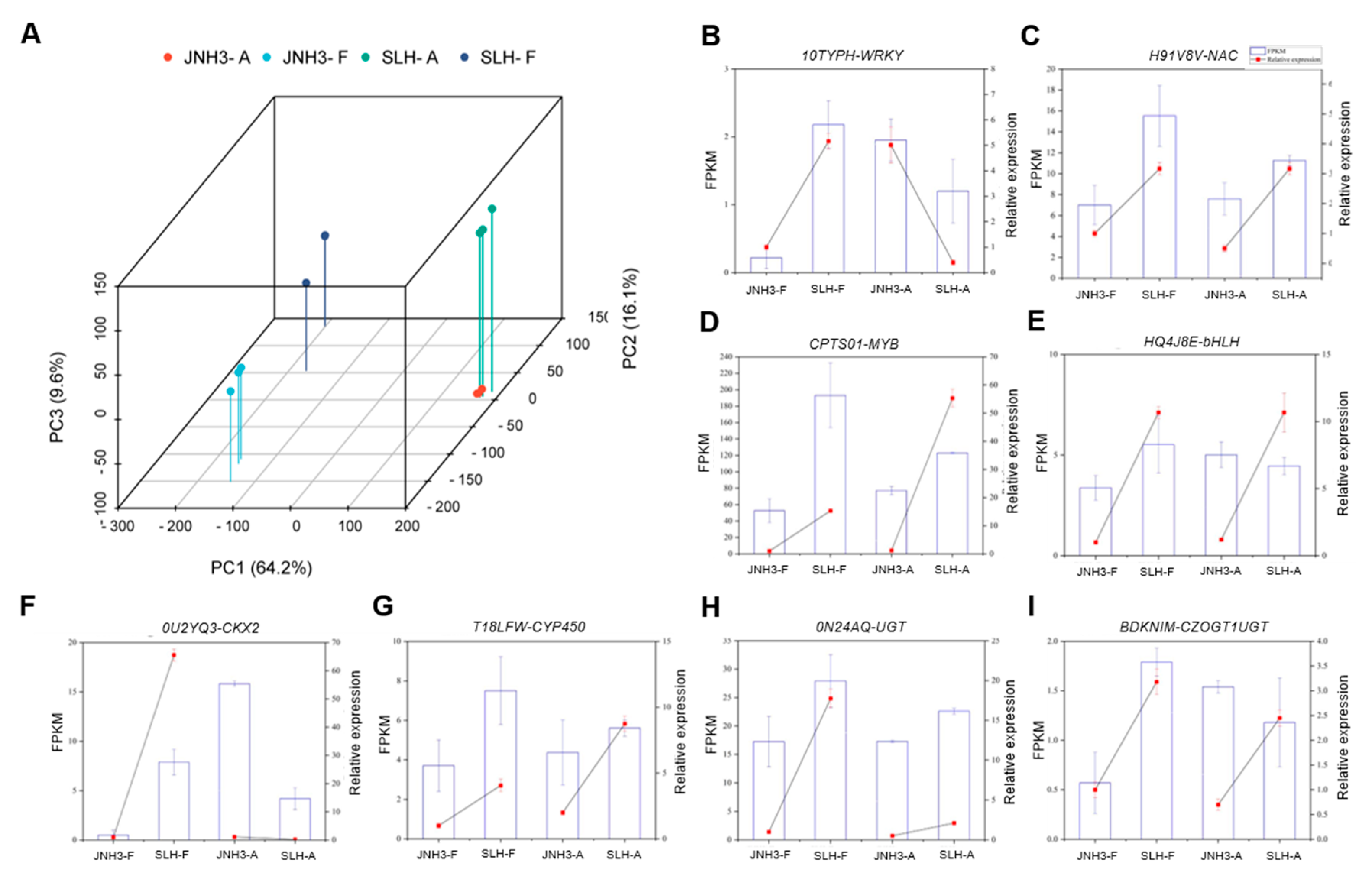 Genes 16 00300 g002