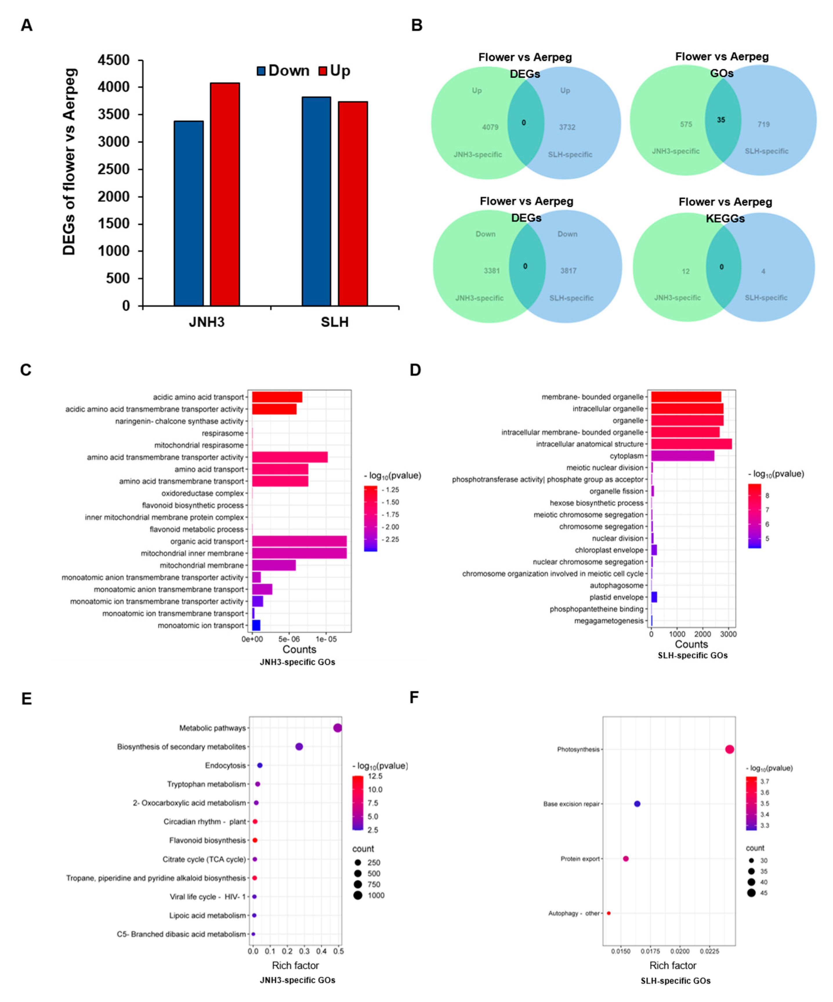 Genes 16 00300 g006