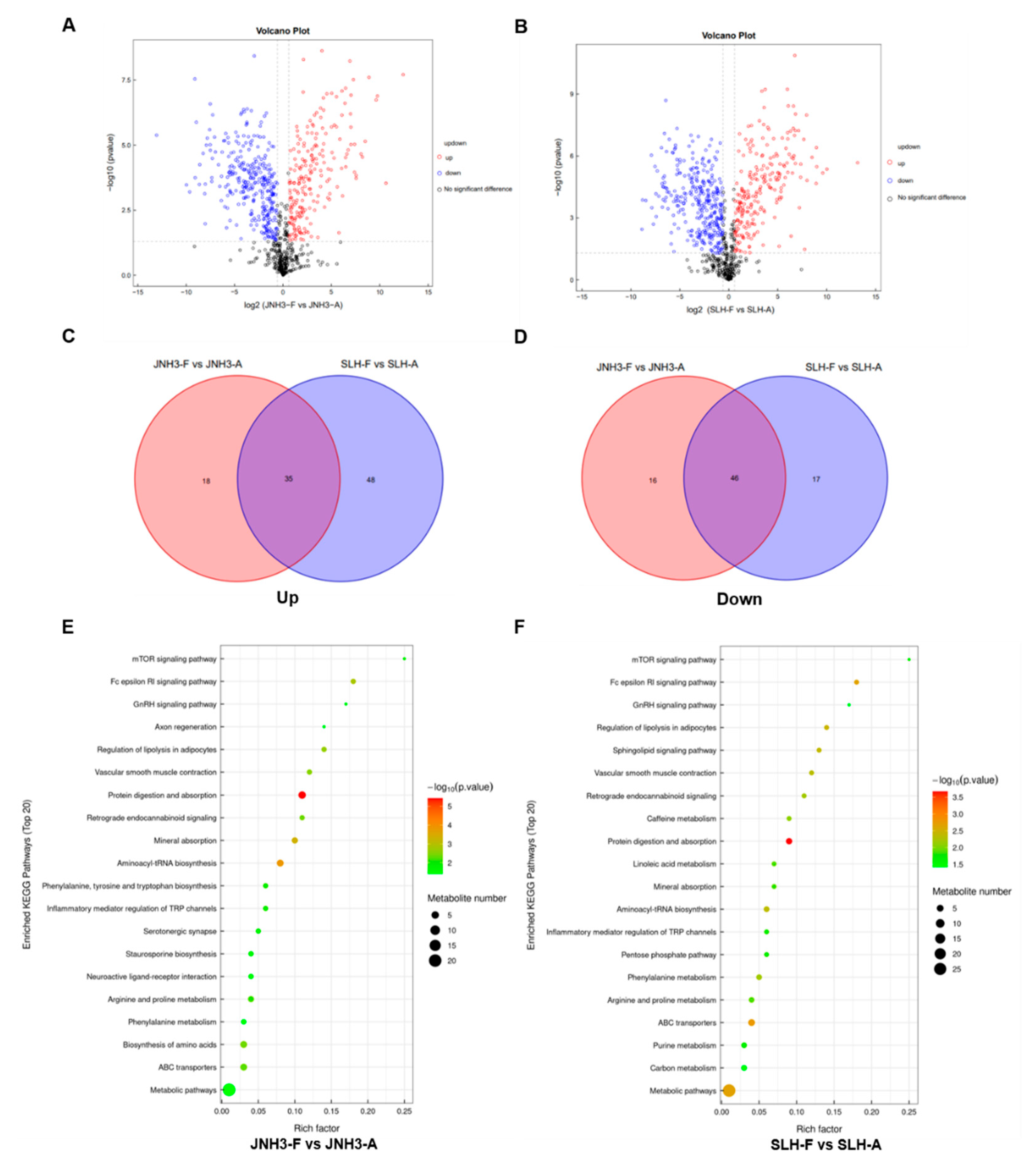 Genes 16 00300 g007