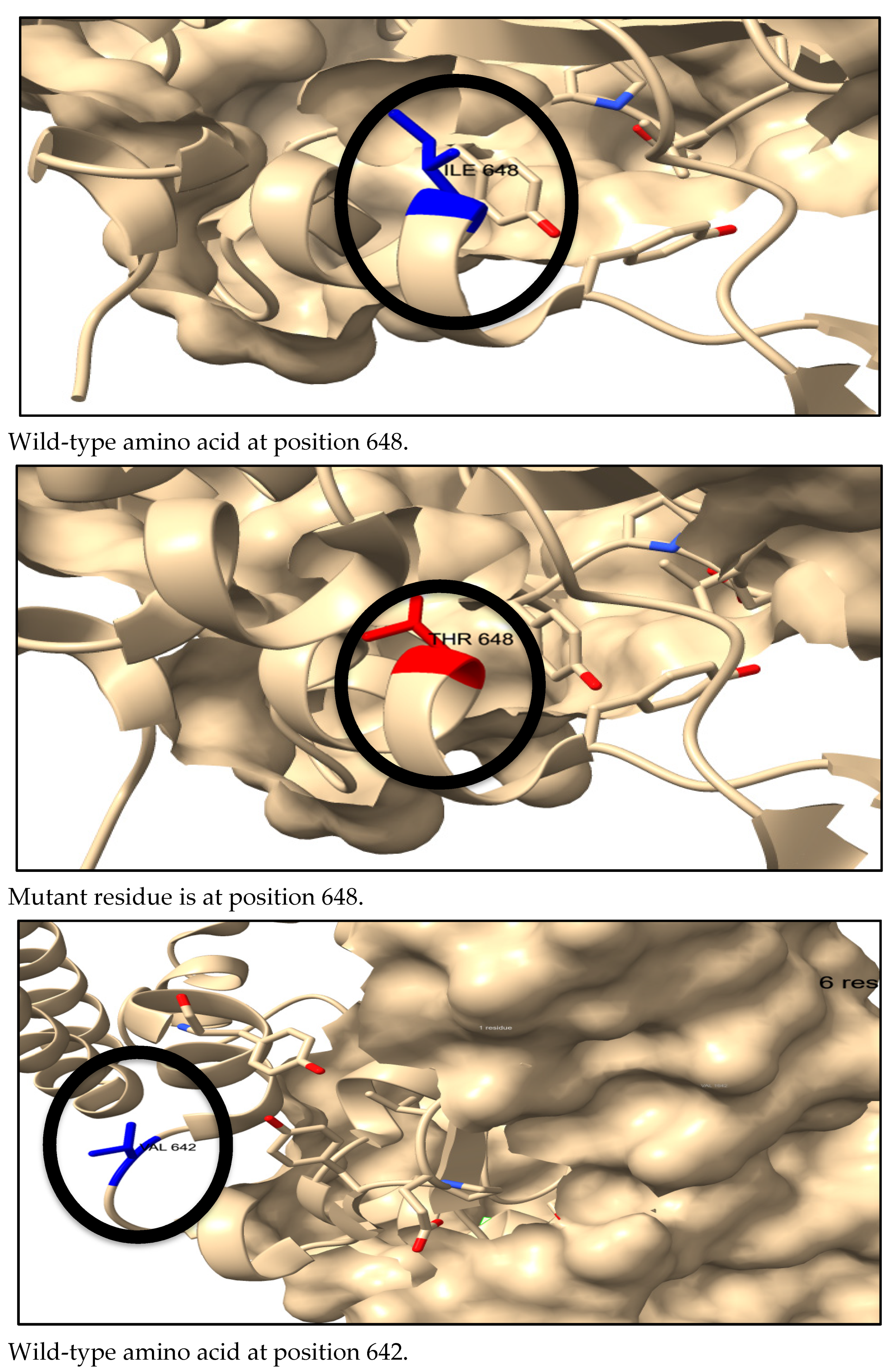 Genes 16 00303 g005a