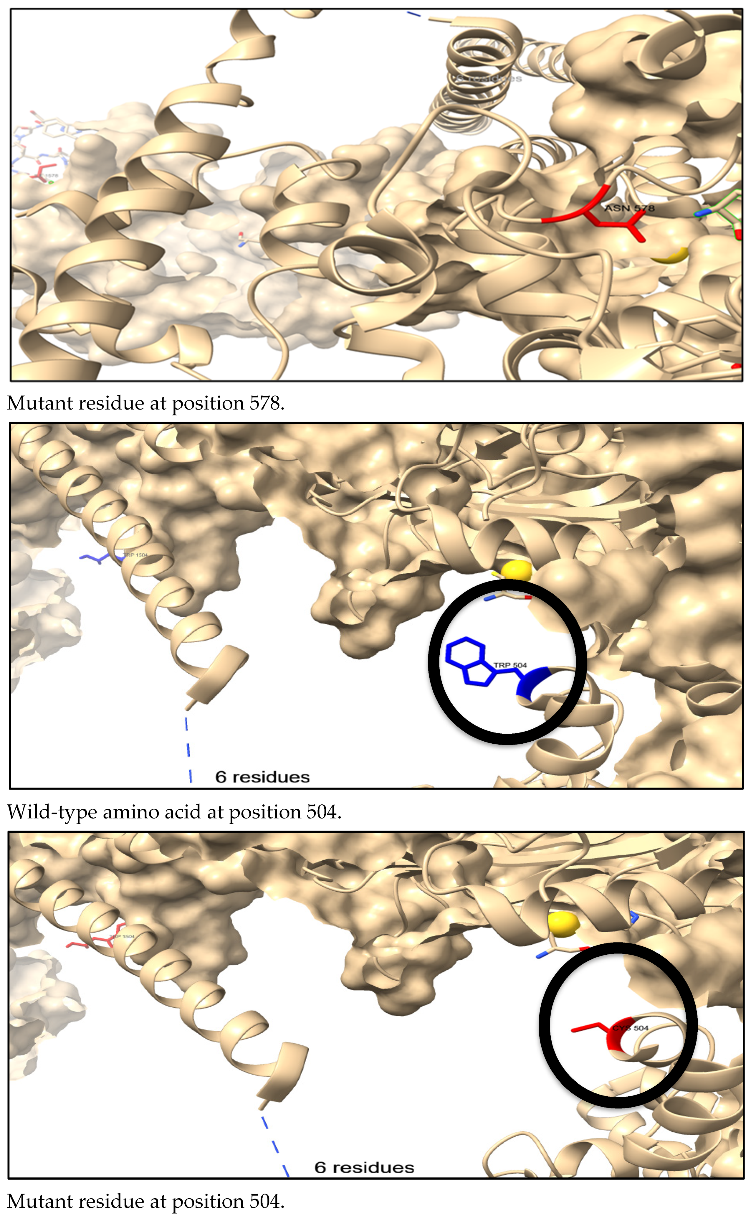 Genes 16 00303 g005d