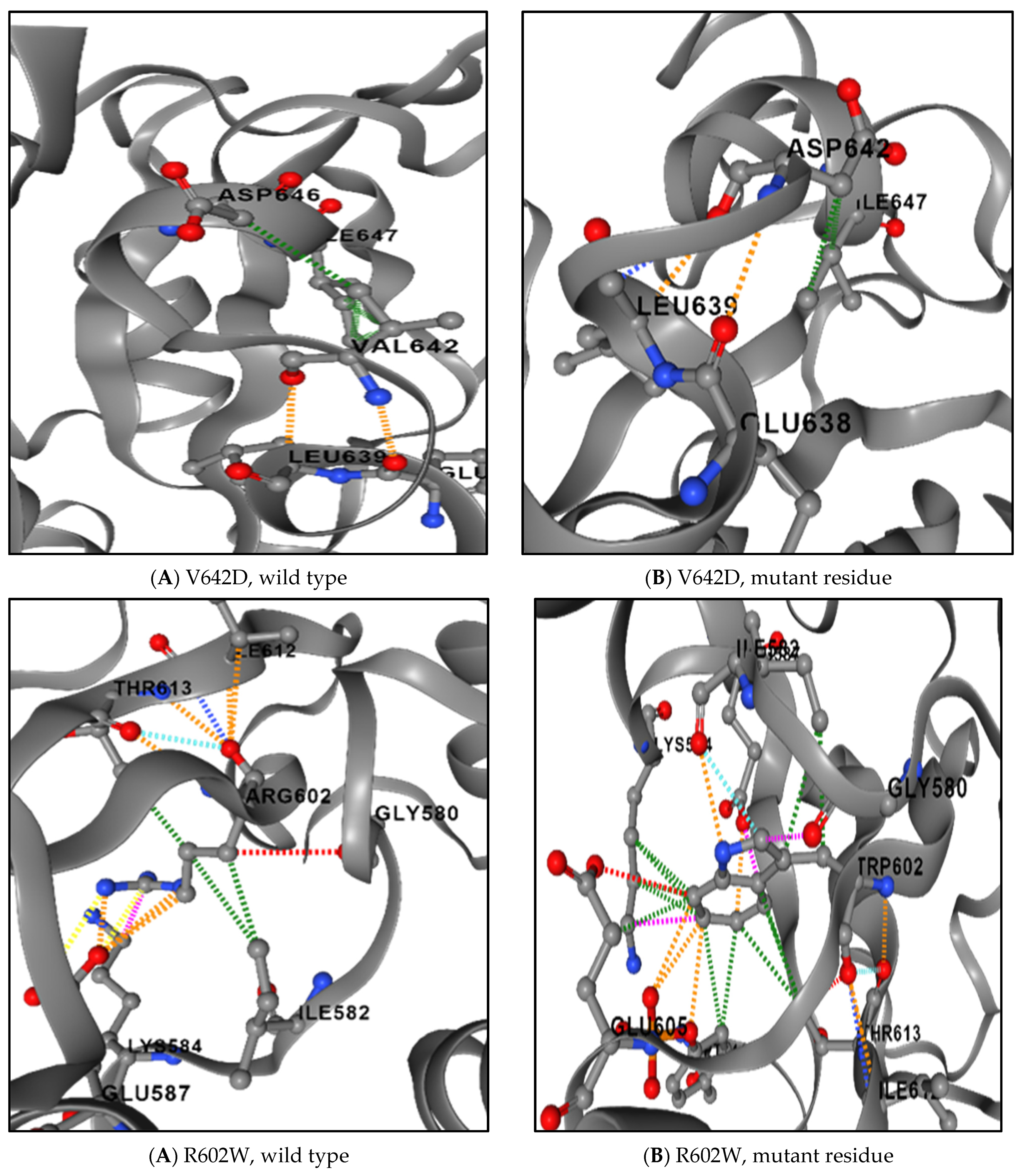 Genes 16 00303 g006b