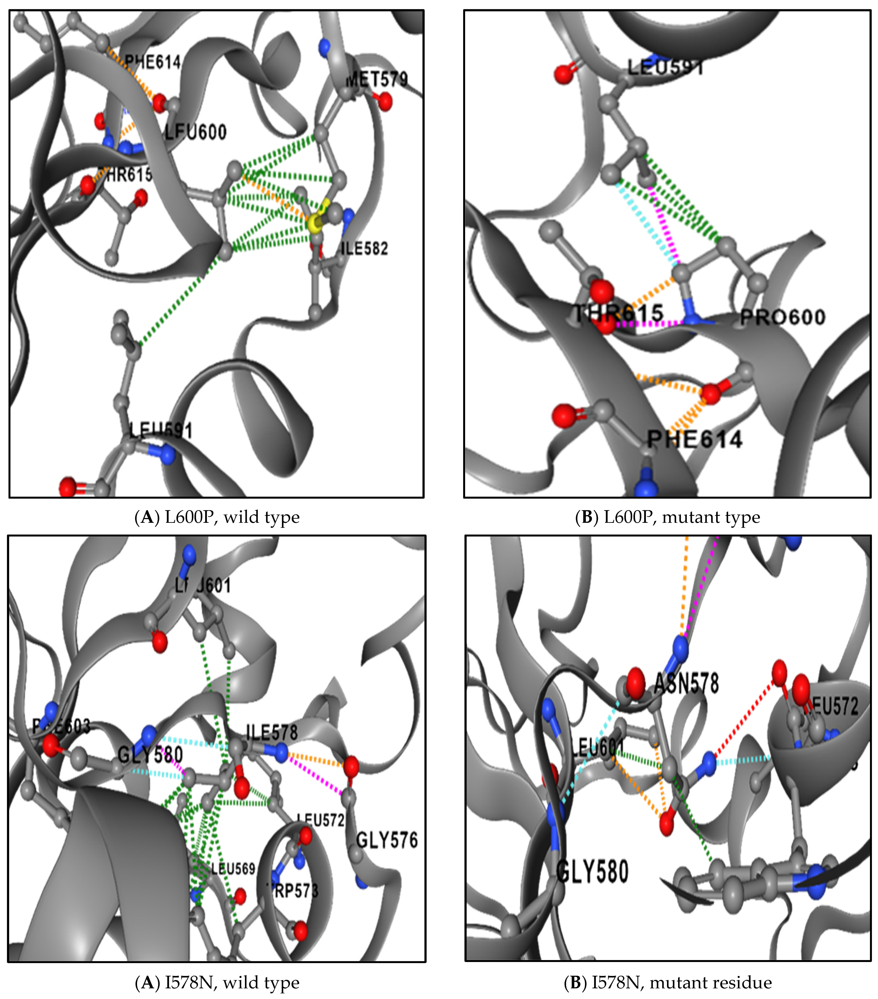 Genes 16 00303 g006c