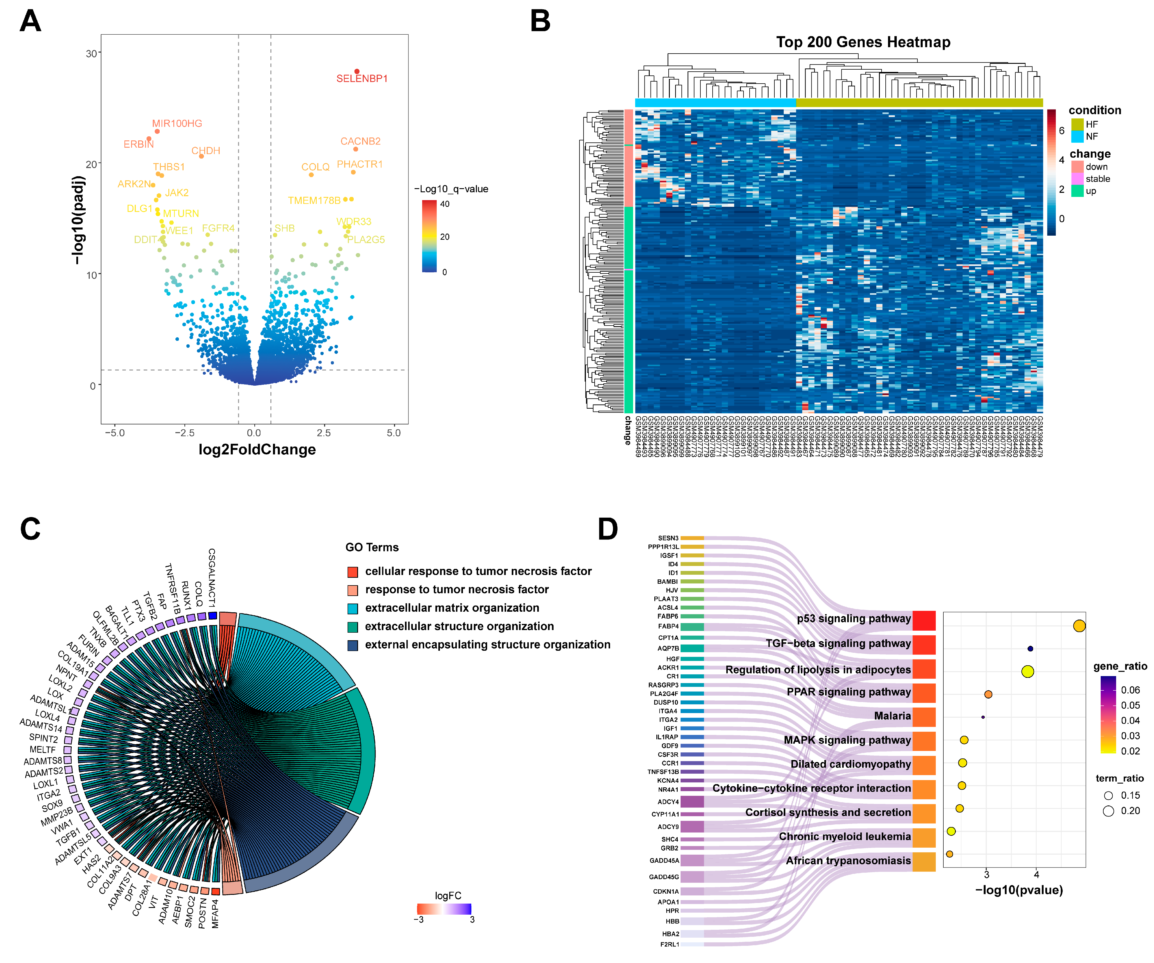 Genes 16 00305 g002