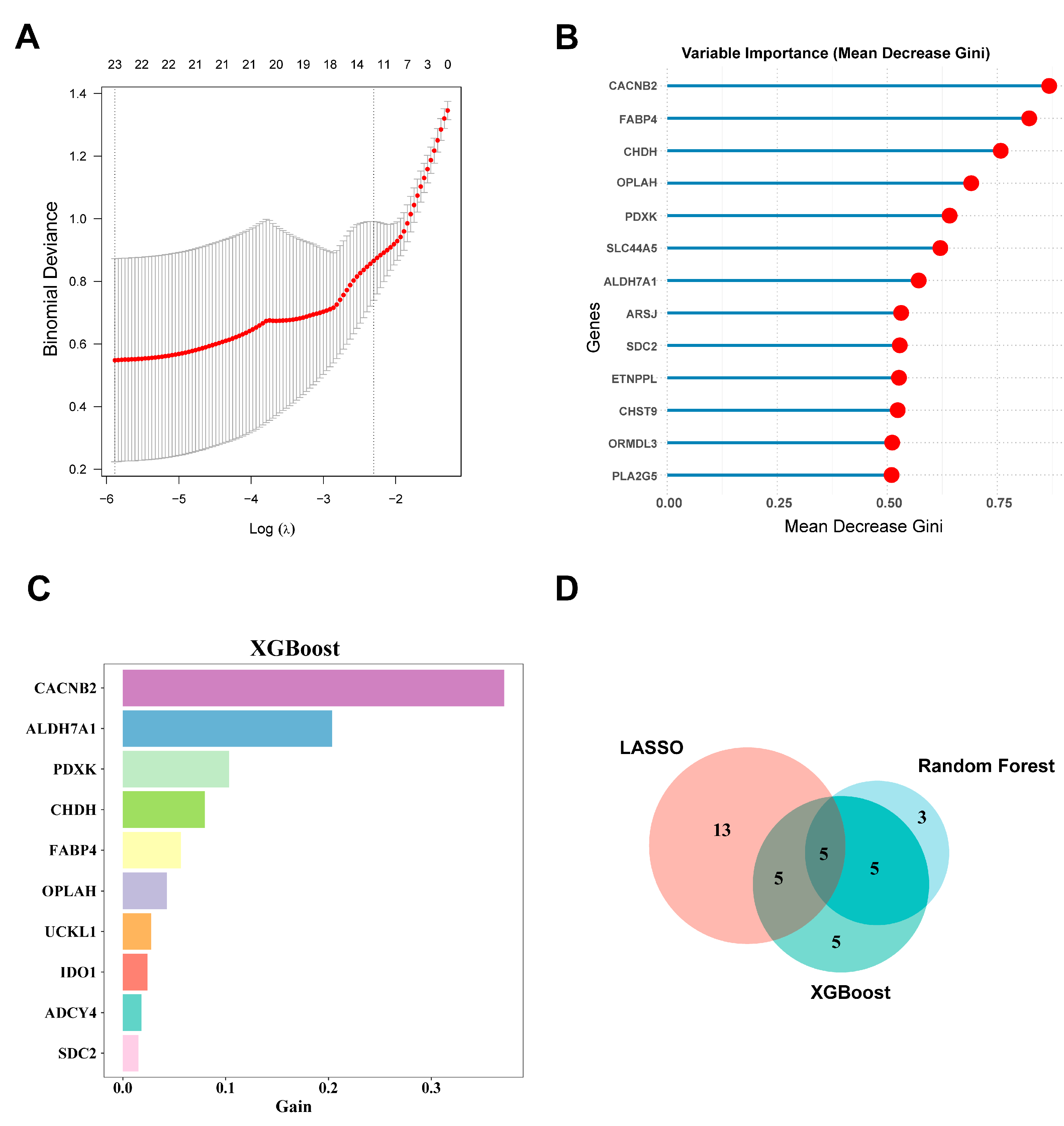 Genes 16 00305 g004