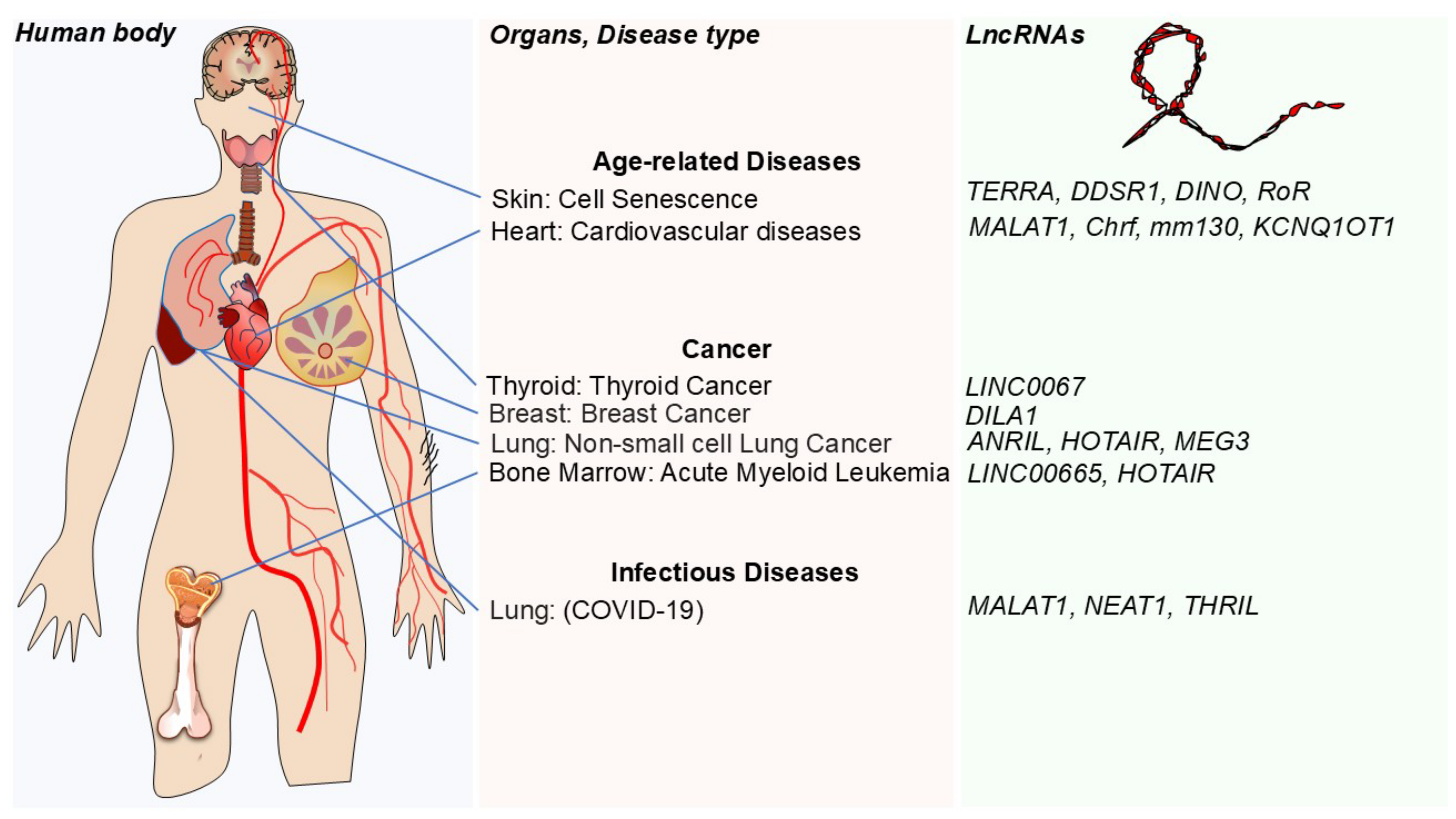 Genes 16 00313 g003 Genes 16 00313 g003