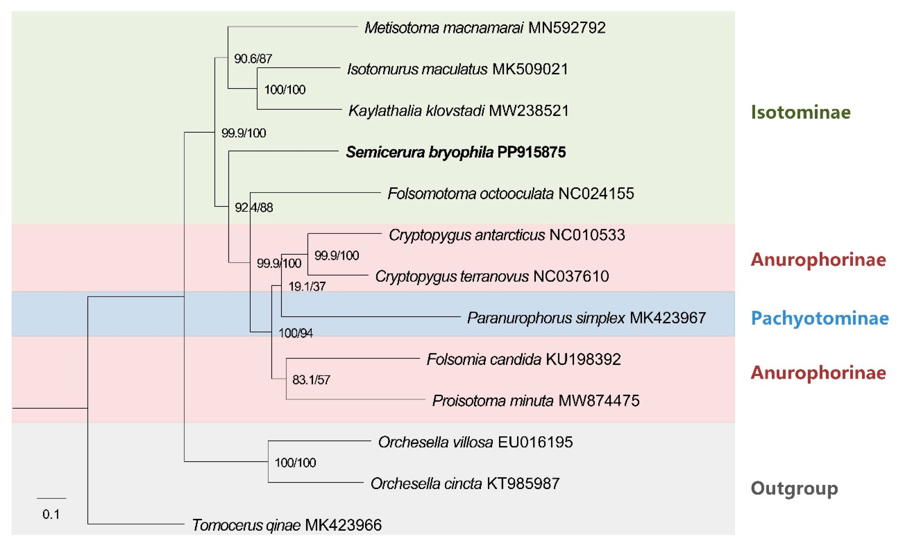 Genes 16 00315 g004