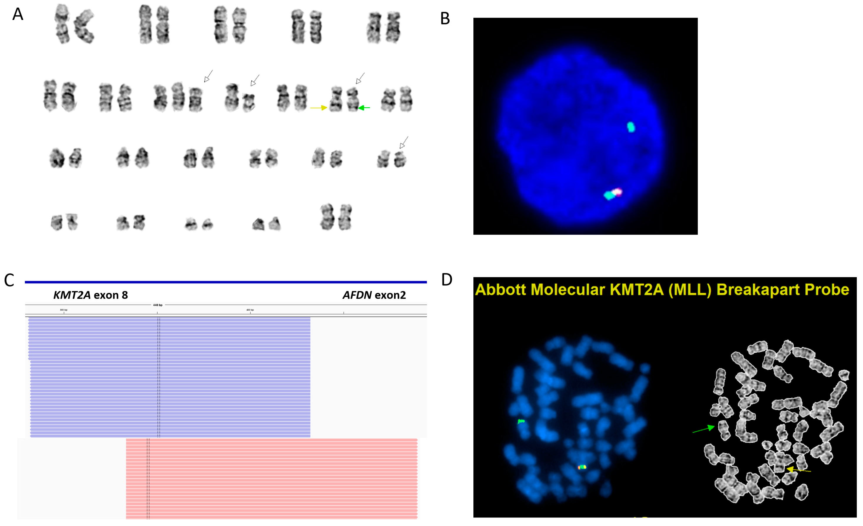 Genes 16 00317 g002