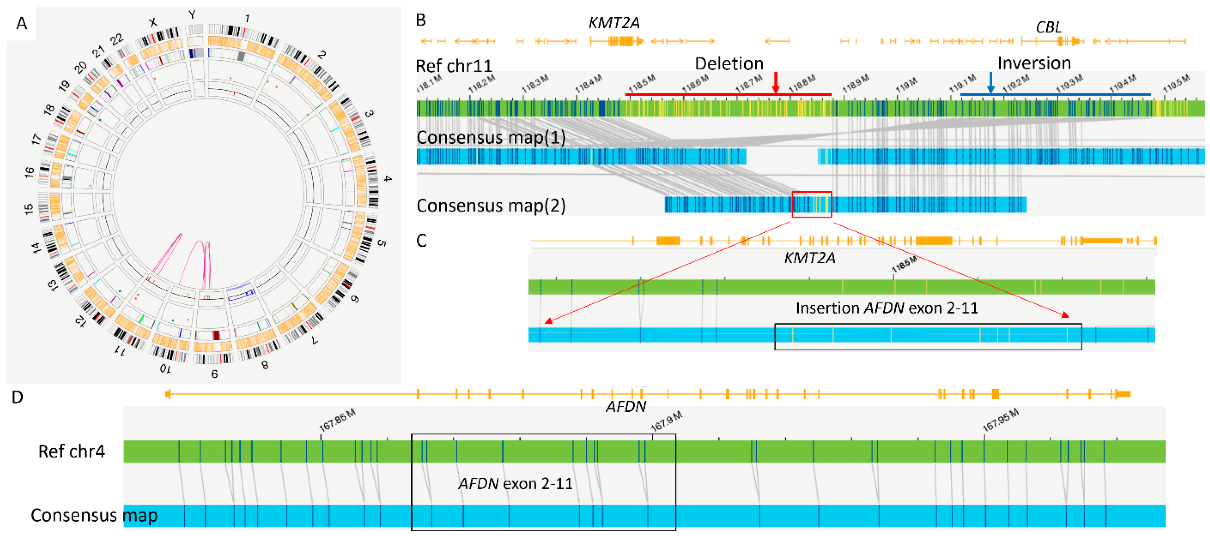 Genes 16 00317 g003