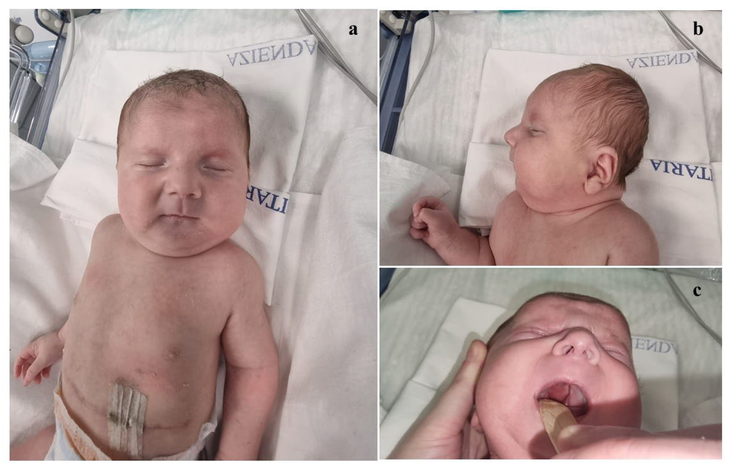 Genes 16 00319 g001 Genes 16 00319 g001