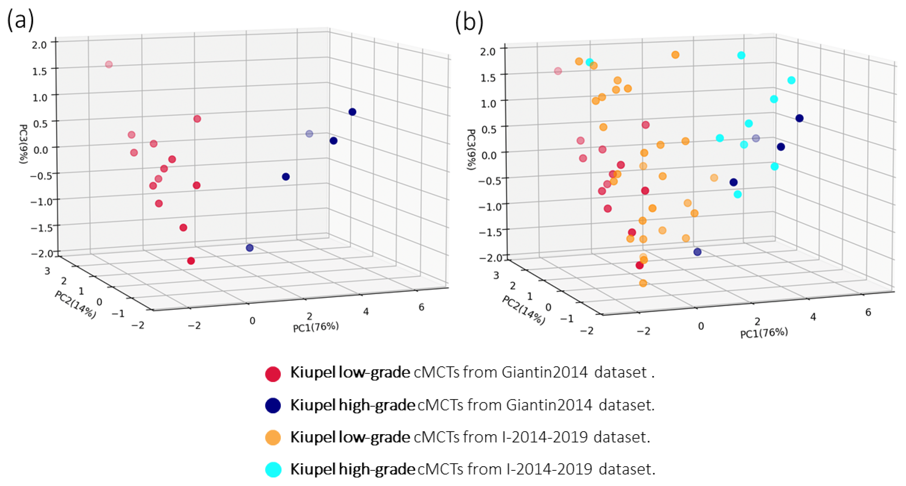 Genes 16 00340 g001