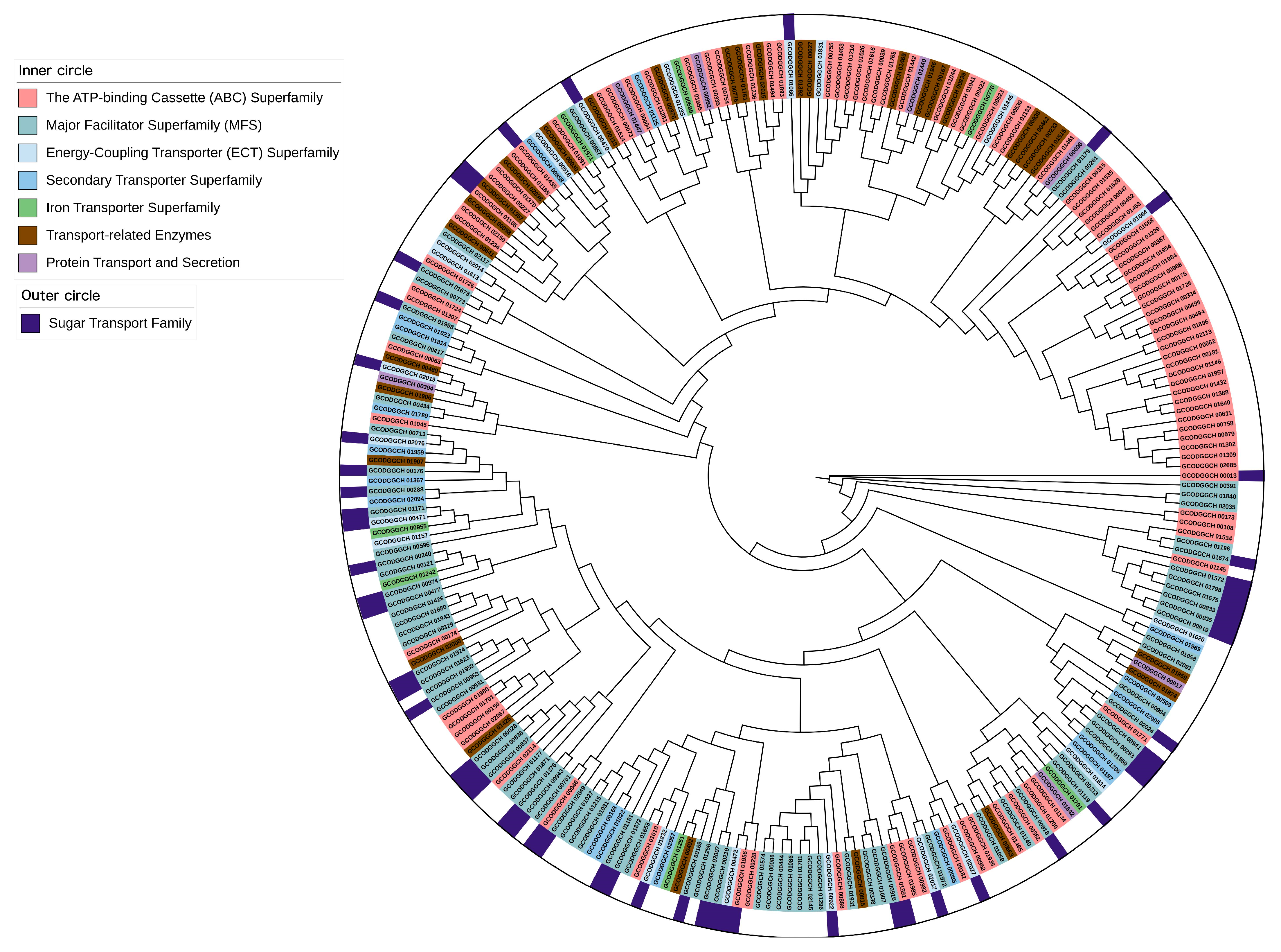Genes 16 00348 g003