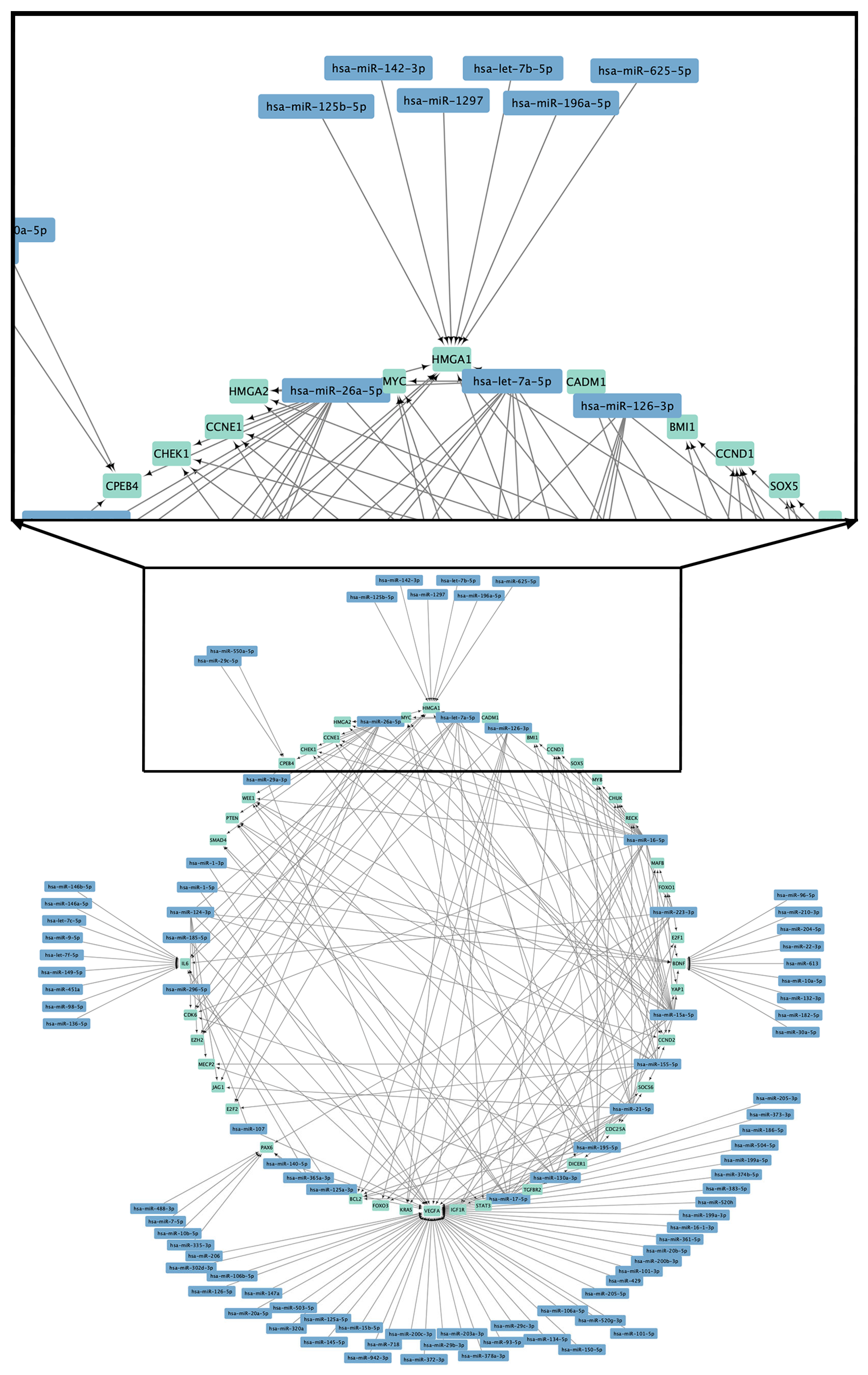 Genes 16 00349 g001