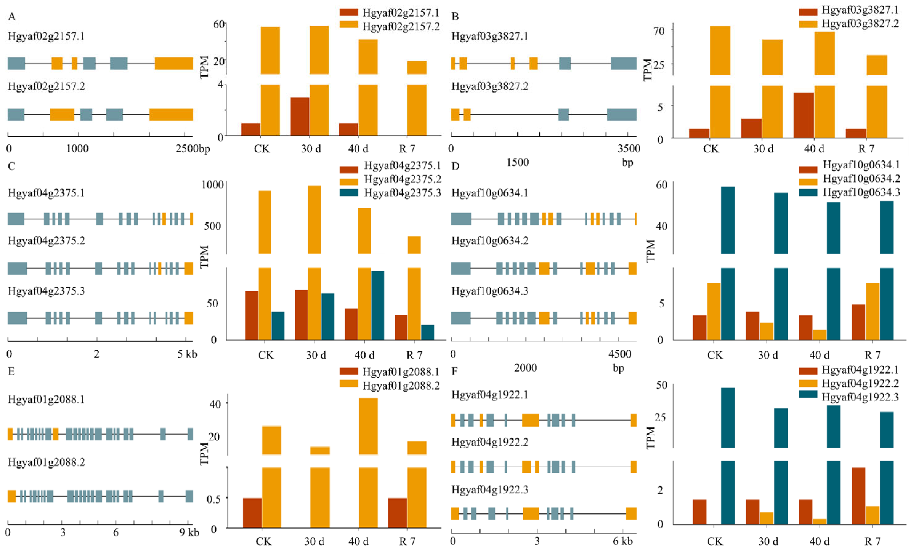 Genes 16 00350 g006