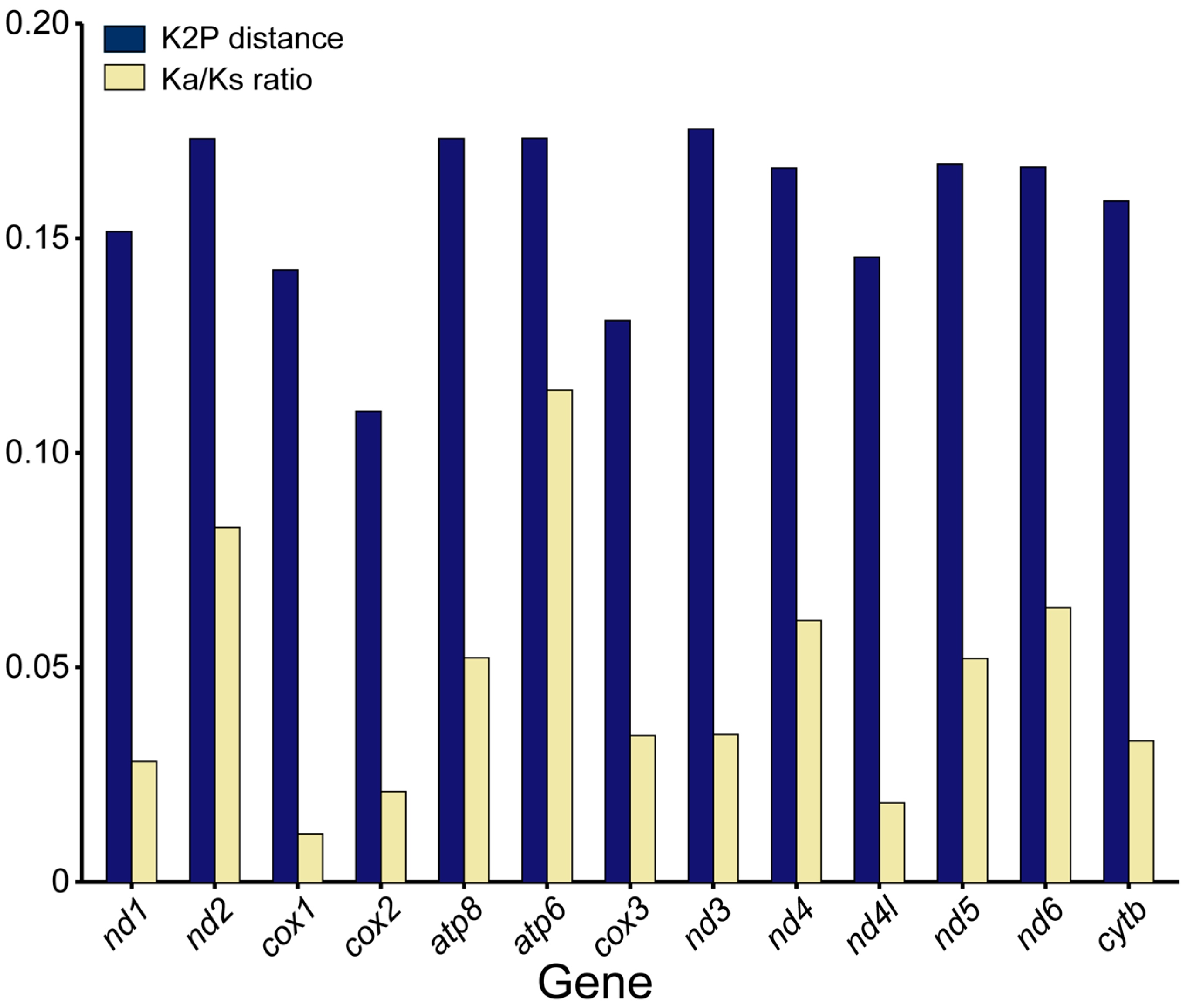 Genes 16 00355 g006