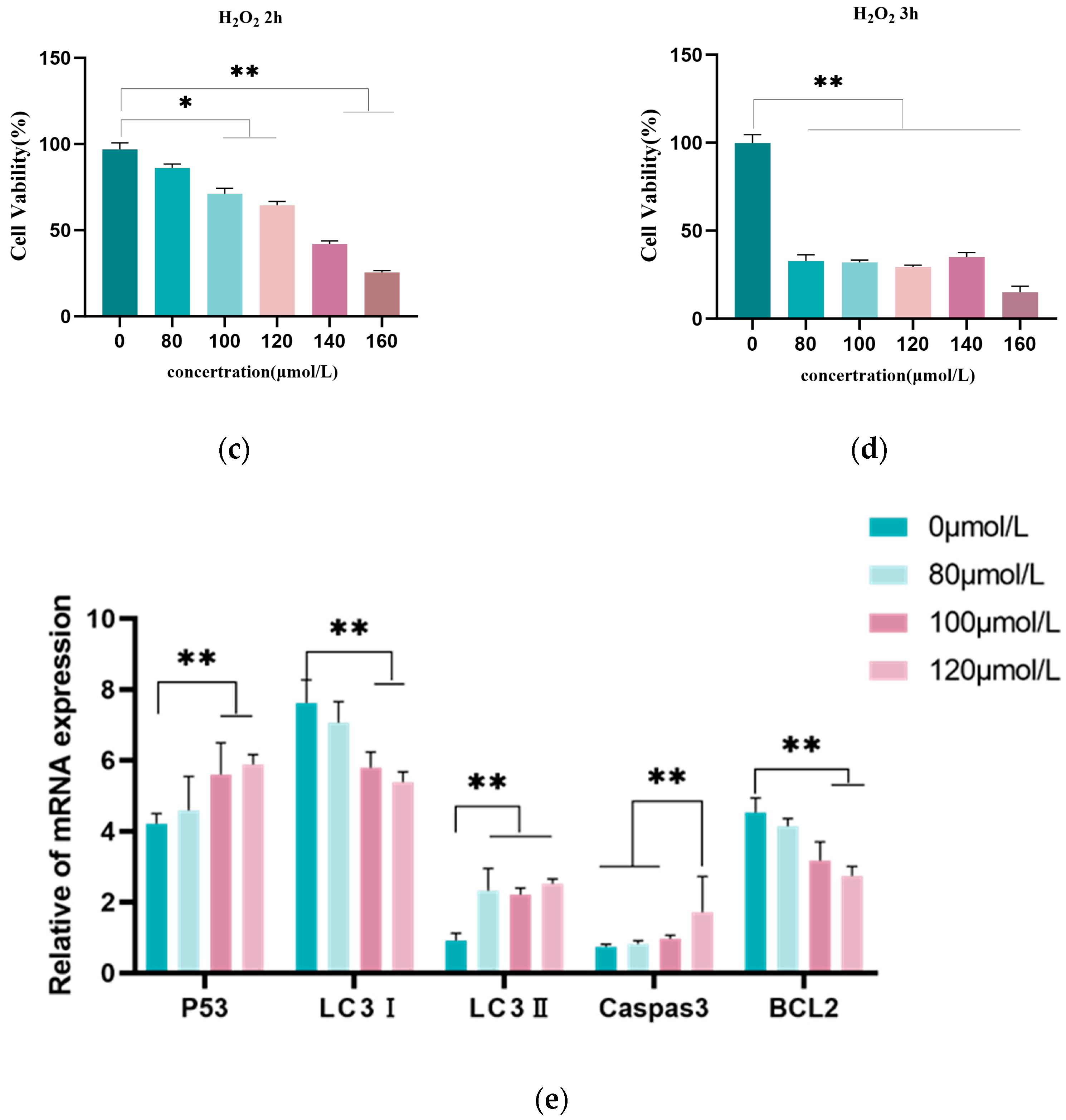 Genes 16 00362 g001b